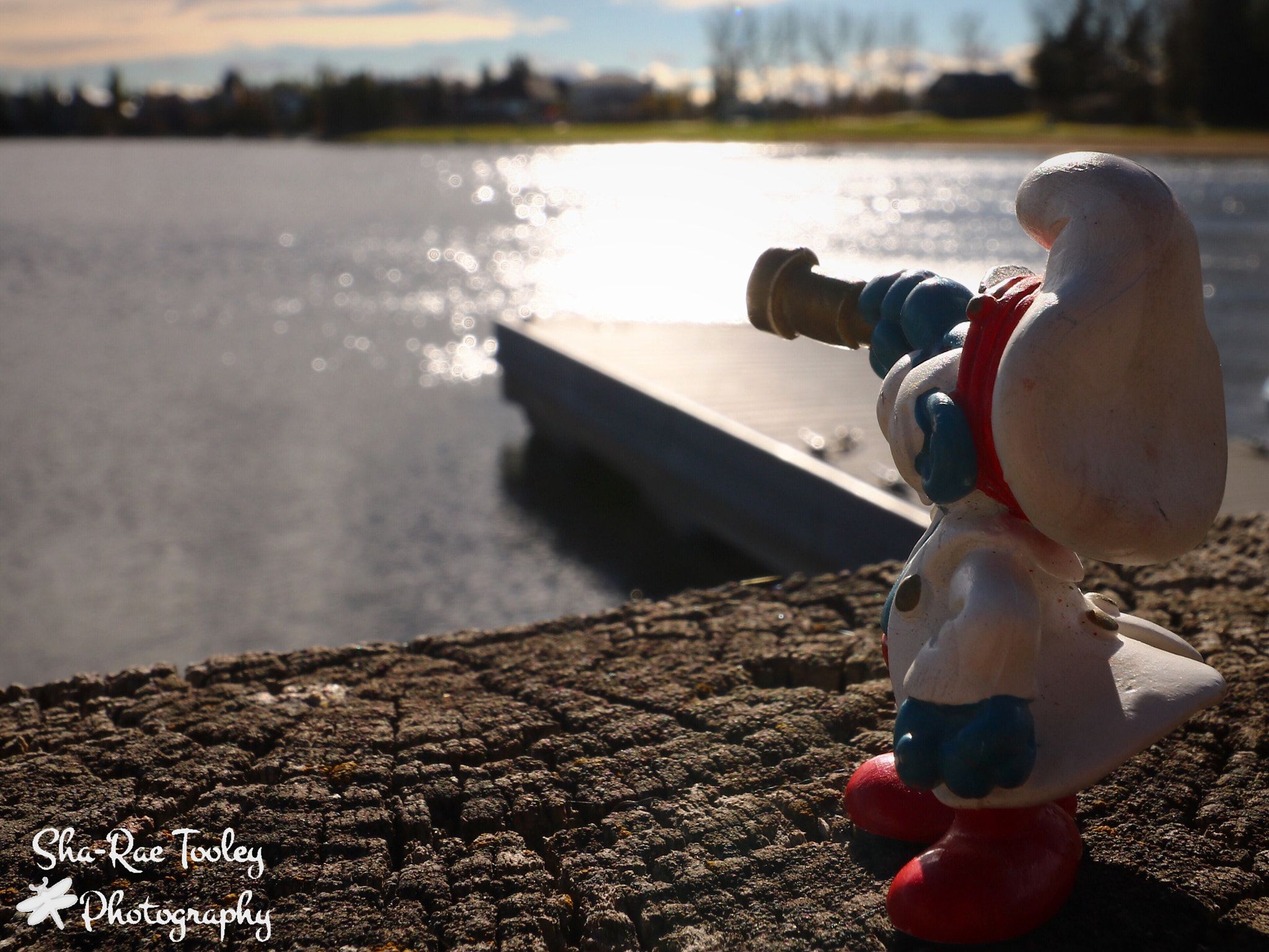 Canon EOS 750D (EOS Rebel T6i / EOS Kiss X8i) sample photo. Ahoy matey photography