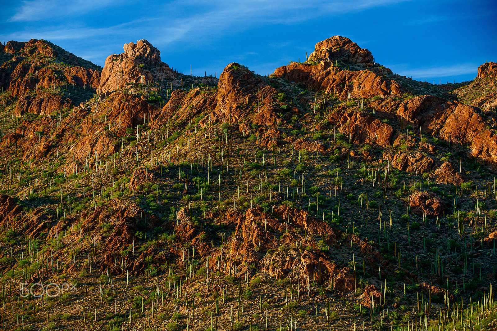 Canon EF 70-200mm F2.8L IS II USM sample photo. Hill of saguaro, saguaro national park west photography