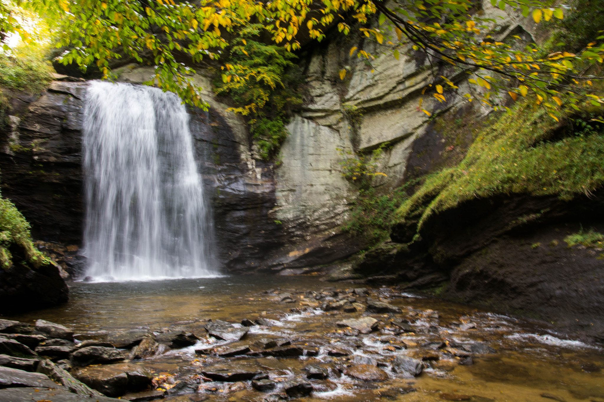 Nikon D5200 + Sigma 18-35mm F1.8 DC HSM Art sample photo. Changing leaves beneath looking glass falls photography