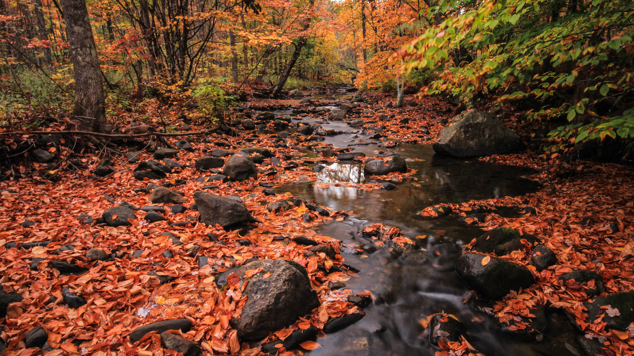 Sigma 10-20mm F4-5.6 EX DC HSM sample photo. Little creek @ thetford, vermont photography