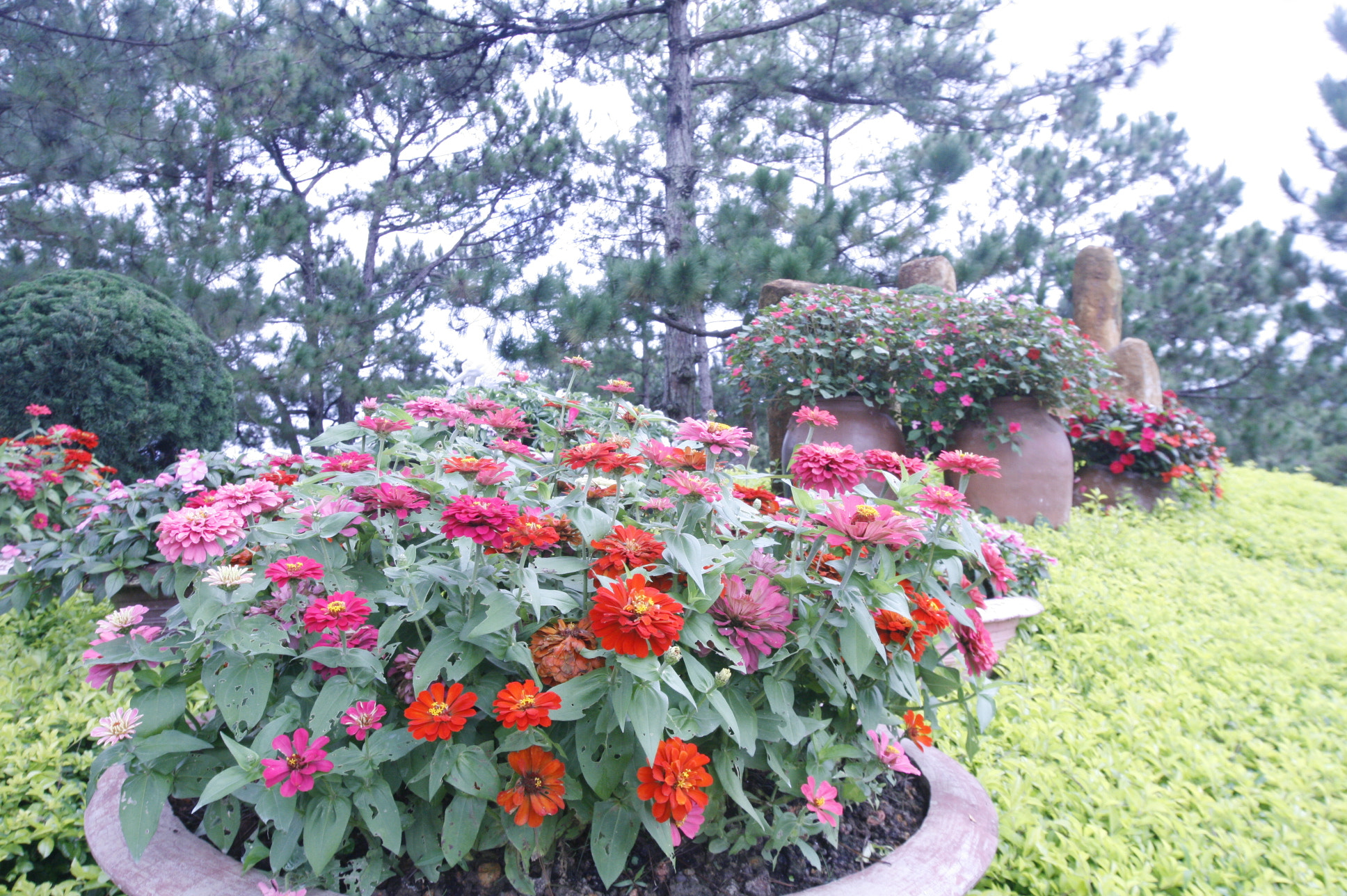 Canon EF 16-35mm F2.8L II USM sample photo. Mg photography
