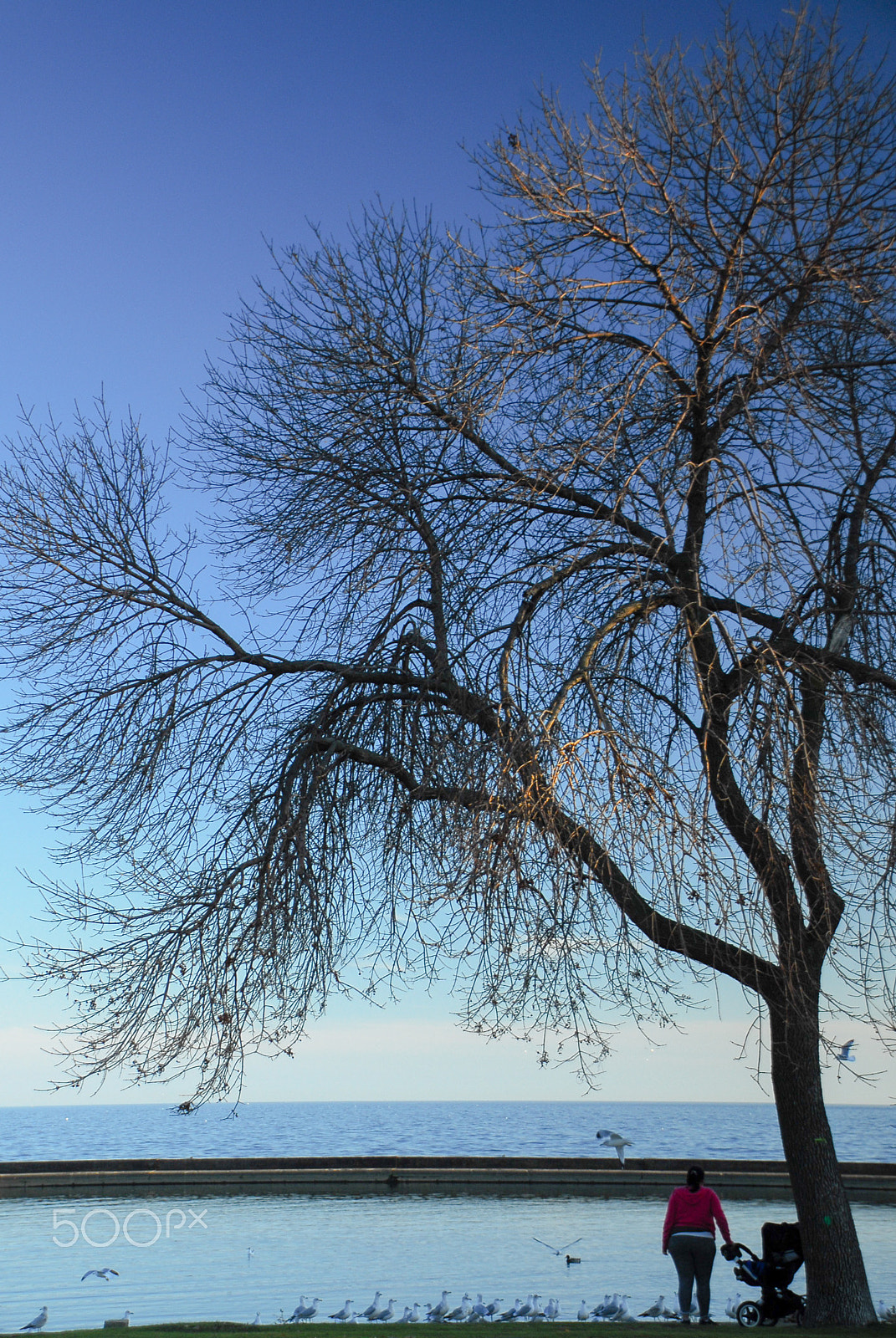 Nikon D200 sample photo. Her branch photography