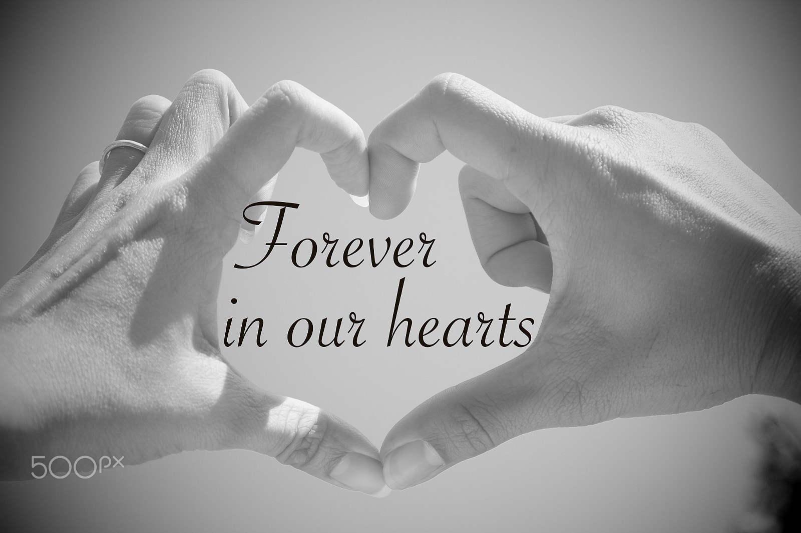 Canon EOS 500D (EOS Rebel T1i / EOS Kiss X3) sample photo. Forever in our hearts quote with beautiful love shape hands, hea photography