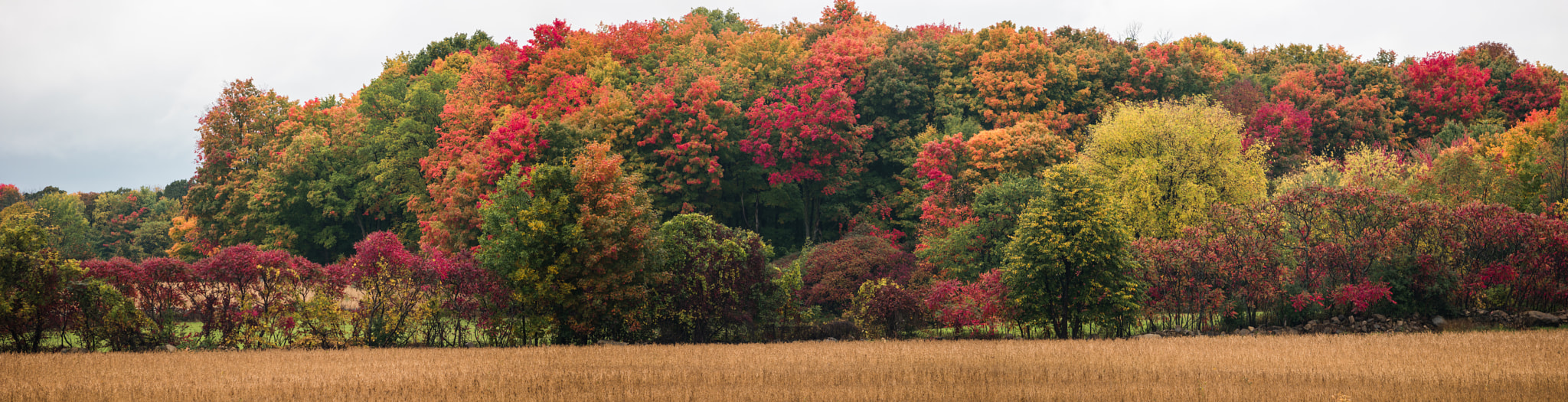 Samsung NX1 + NX 50-150mm F2.8 S sample photo. Wall of color photography