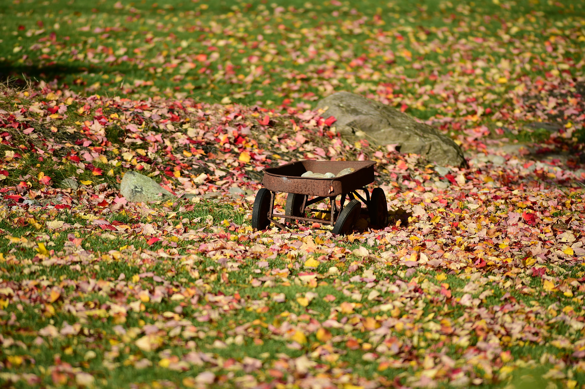Tokina AT-X 304 AF (AF 300mm f/4.0) sample photo. Crisp autumn morning photography