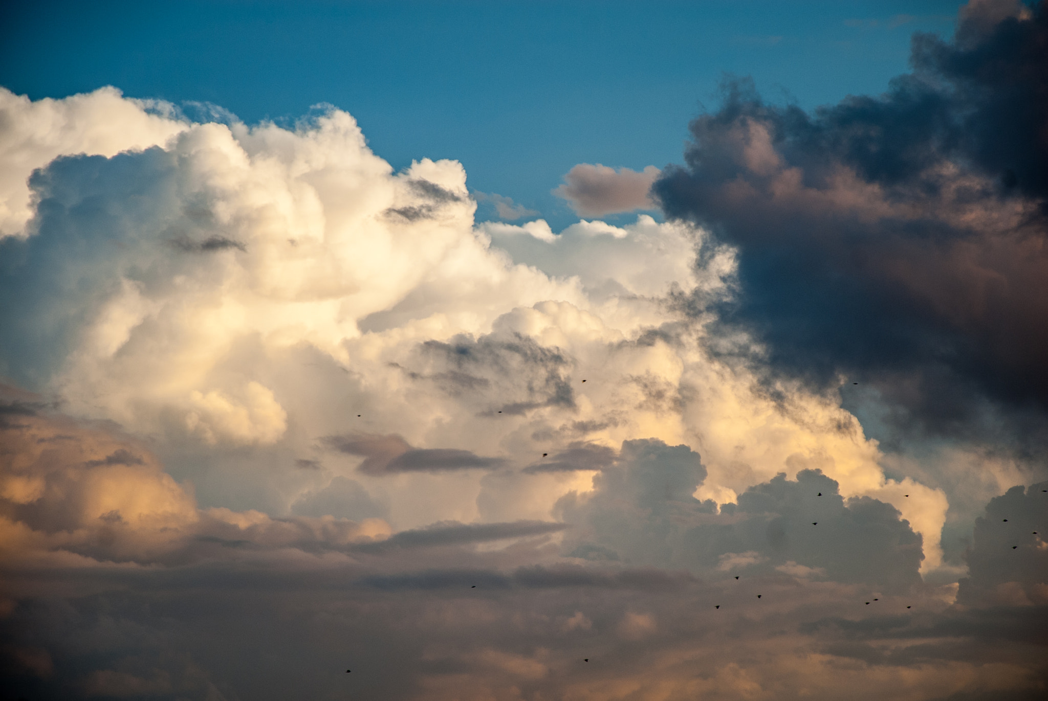 Nikon D200 sample photo. Texas adventure in deep ellum photography