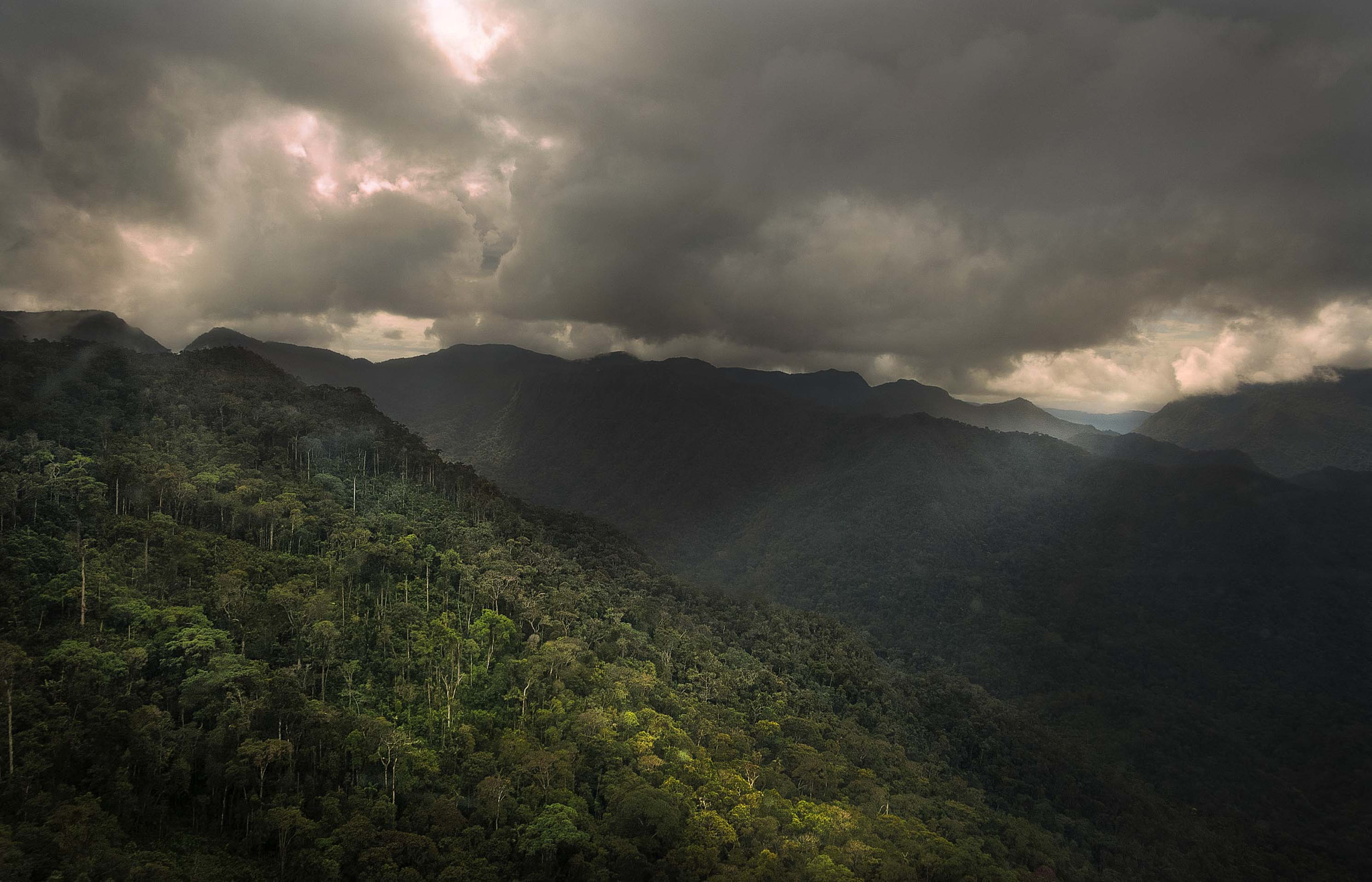 Nikon D50 + Sigma 18-50mm F3.5-5.6 DC sample photo. Pure rainforest photography