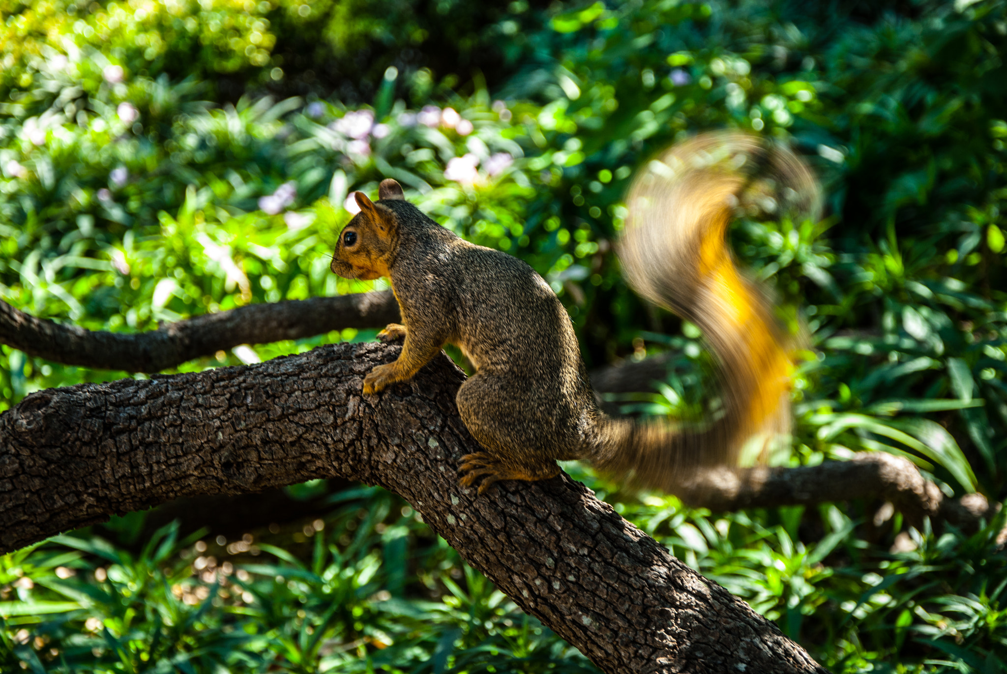 Nikon D200 sample photo. Texas adventures in san antonio photography