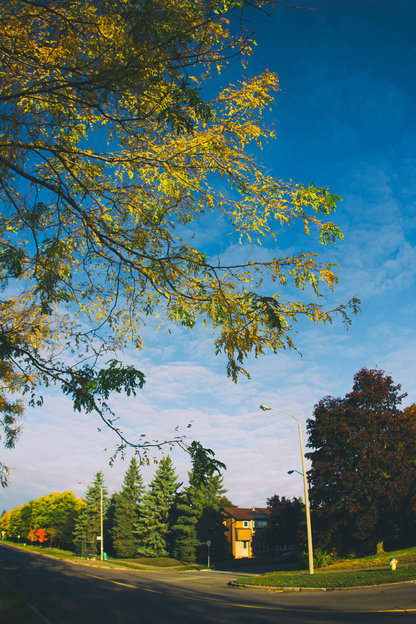 Canon EF 15mm F2.8 Fisheye sample photo