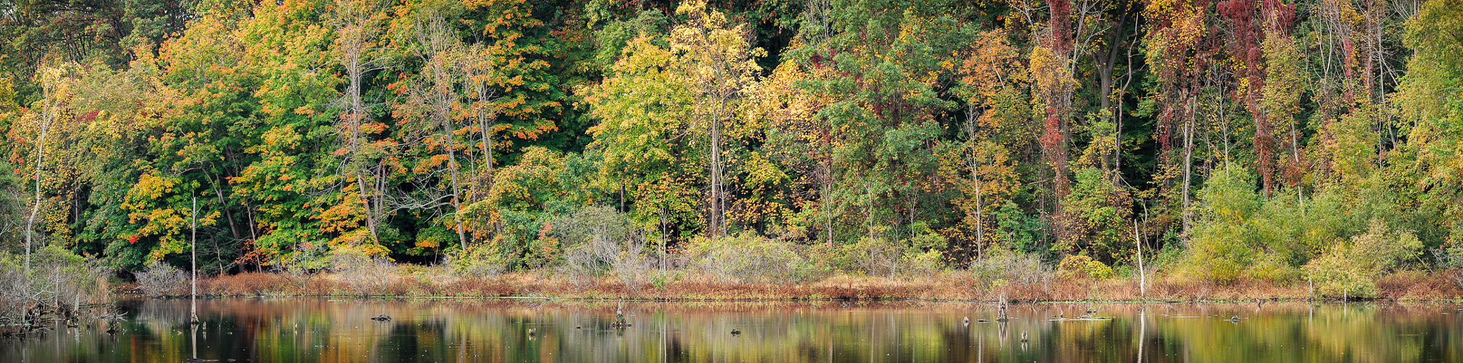 Nikon D700 + AF Nikkor 300mm f/4 IF-ED sample photo. Lake isaac panorama photography