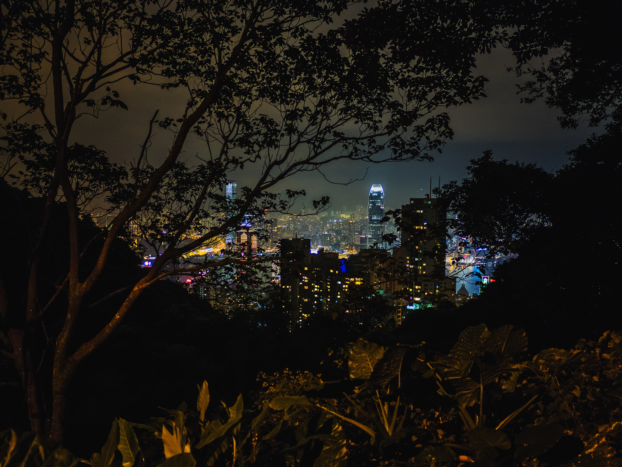 Olympus OM-D E-M5 II + LEICA DG SUMMILUX 15/F1.7 sample photo. City behind the jungle photography