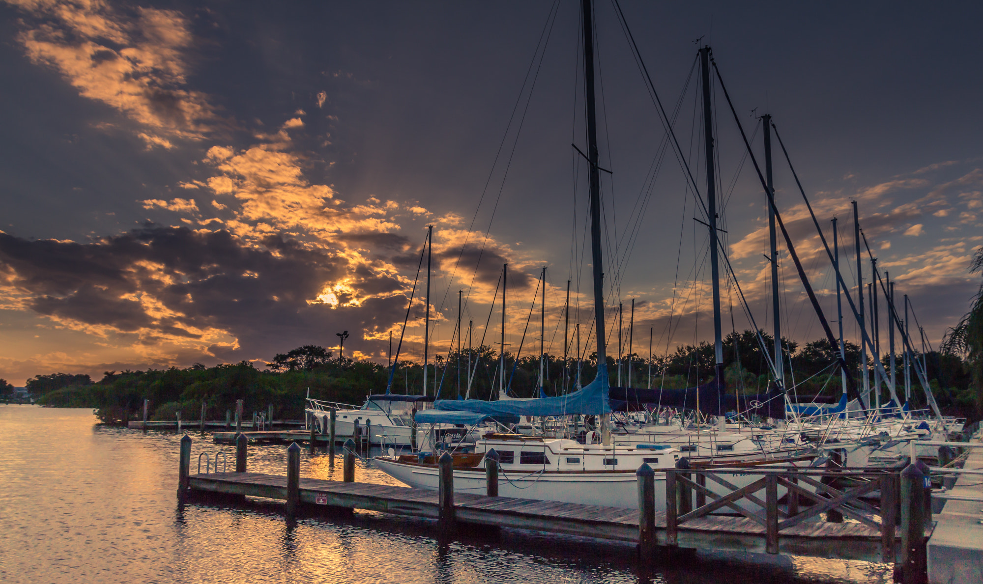 Canon EOS 700D (EOS Rebel T5i / EOS Kiss X7i) sample photo. An evening in florida! photography