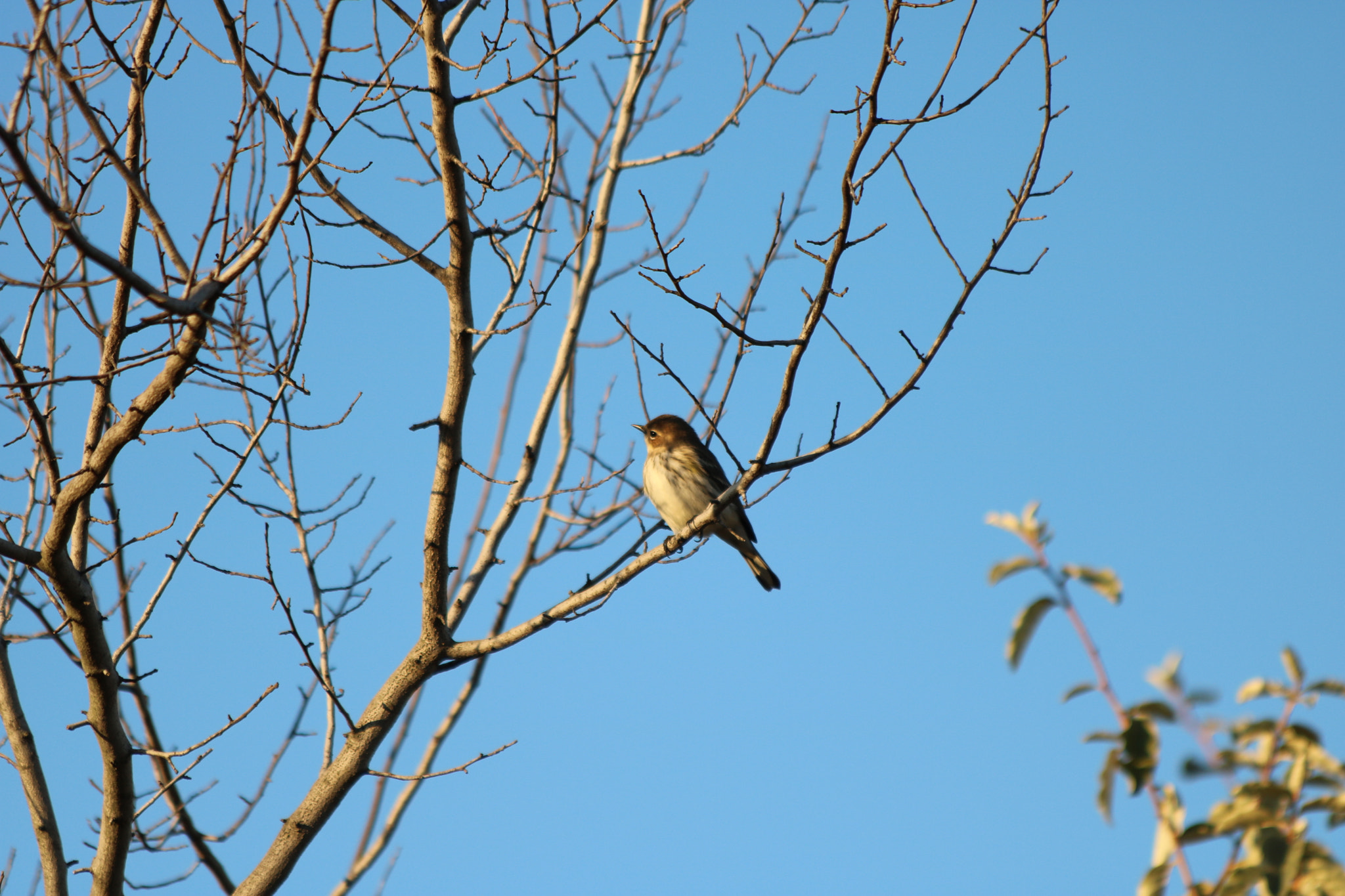 Canon EF 70-300mm F4-5.6 IS USM sample photo. Img photography