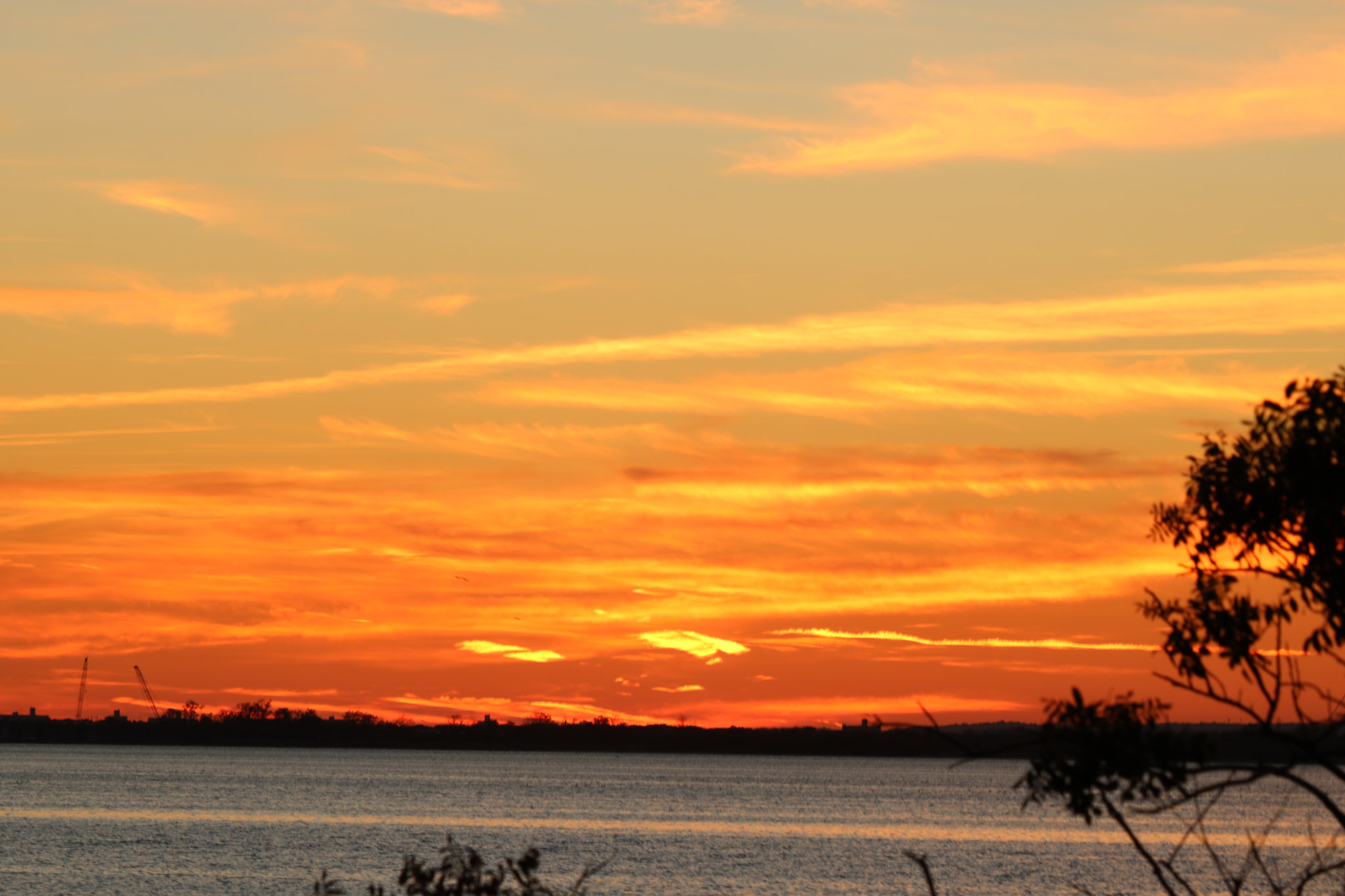 Canon EF 70-300mm F4-5.6 IS USM sample photo. Img photography