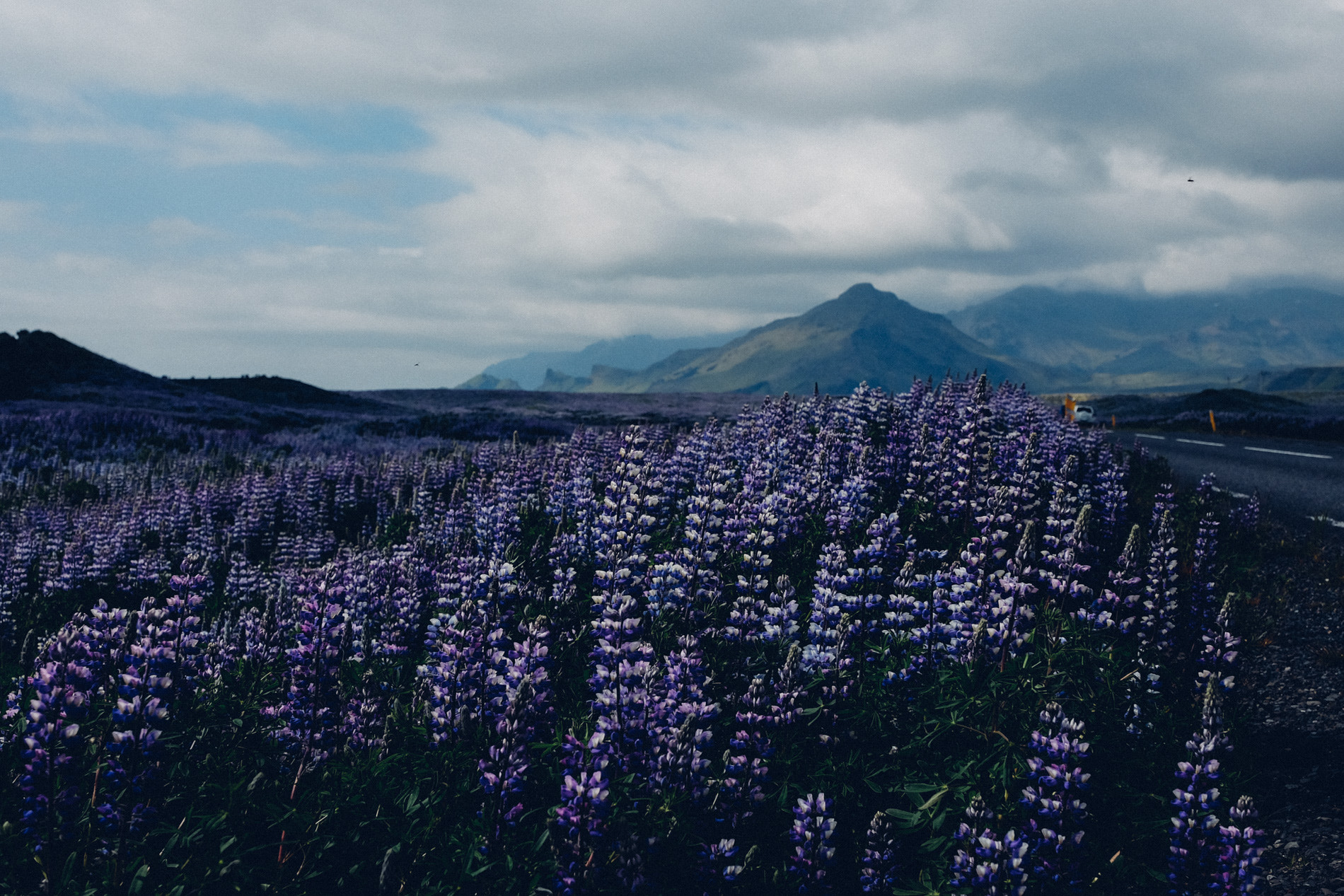Fujifilm X-T10 + Fujifilm XF 16-55mm F2.8 R LM WR sample photo. Summertime in iceland photography