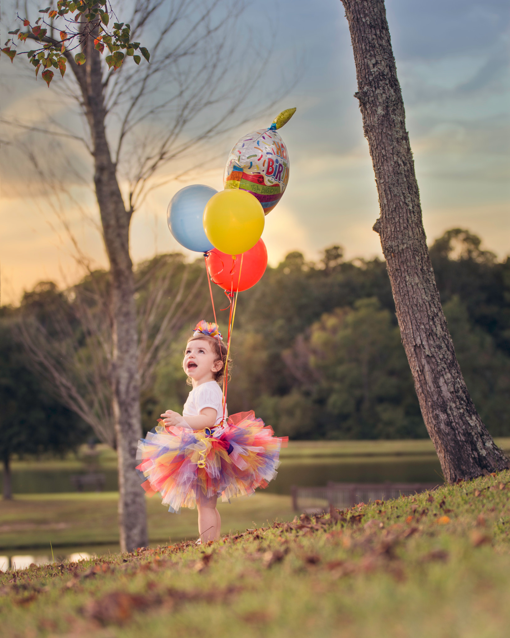 Nikon AF-S Nikkor 70-200mm F2.8G ED VR II sample photo. Birthday balloons photography