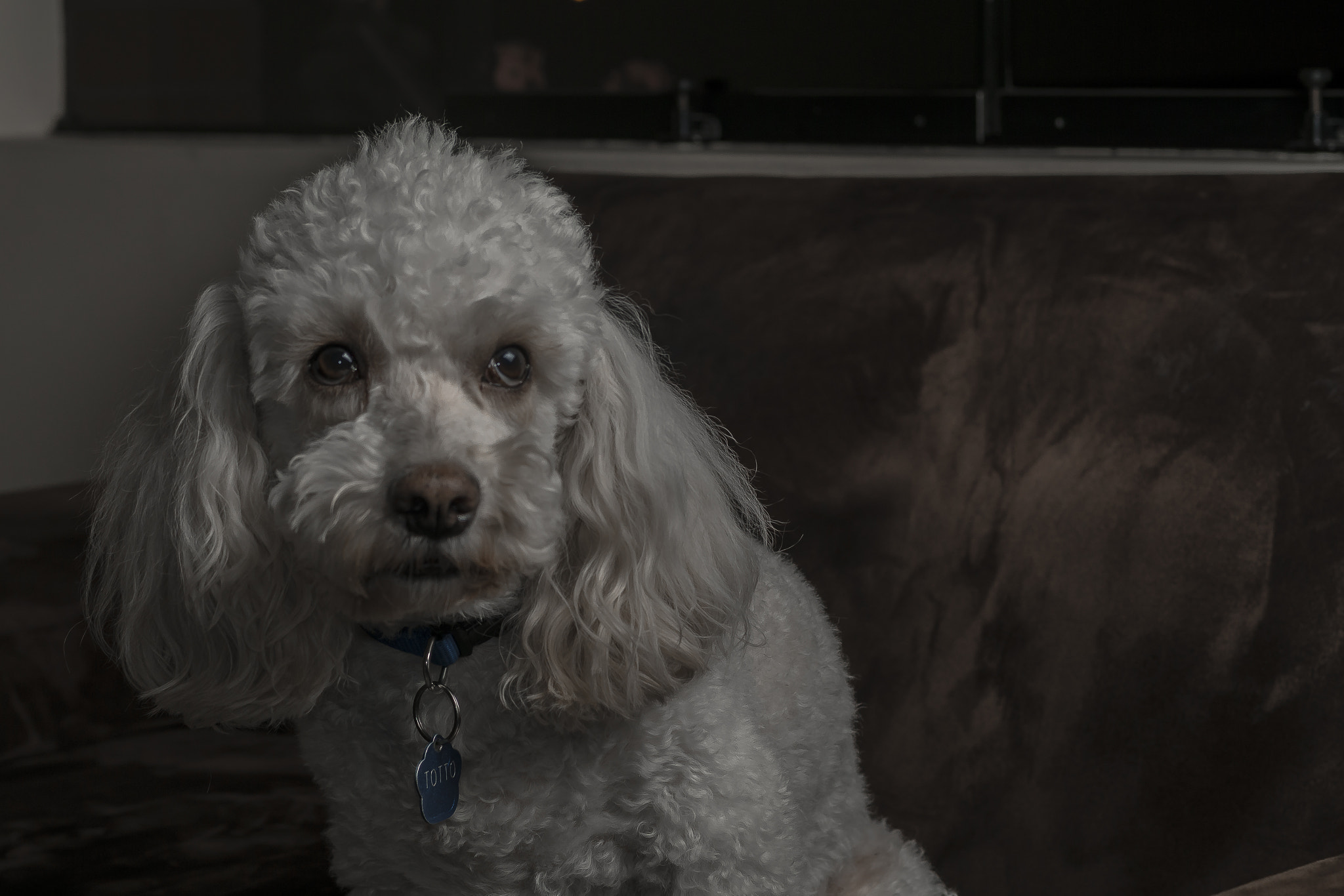 Sony ILCA-77M2 + Sony 50mm F1.4 sample photo. Sad look photography