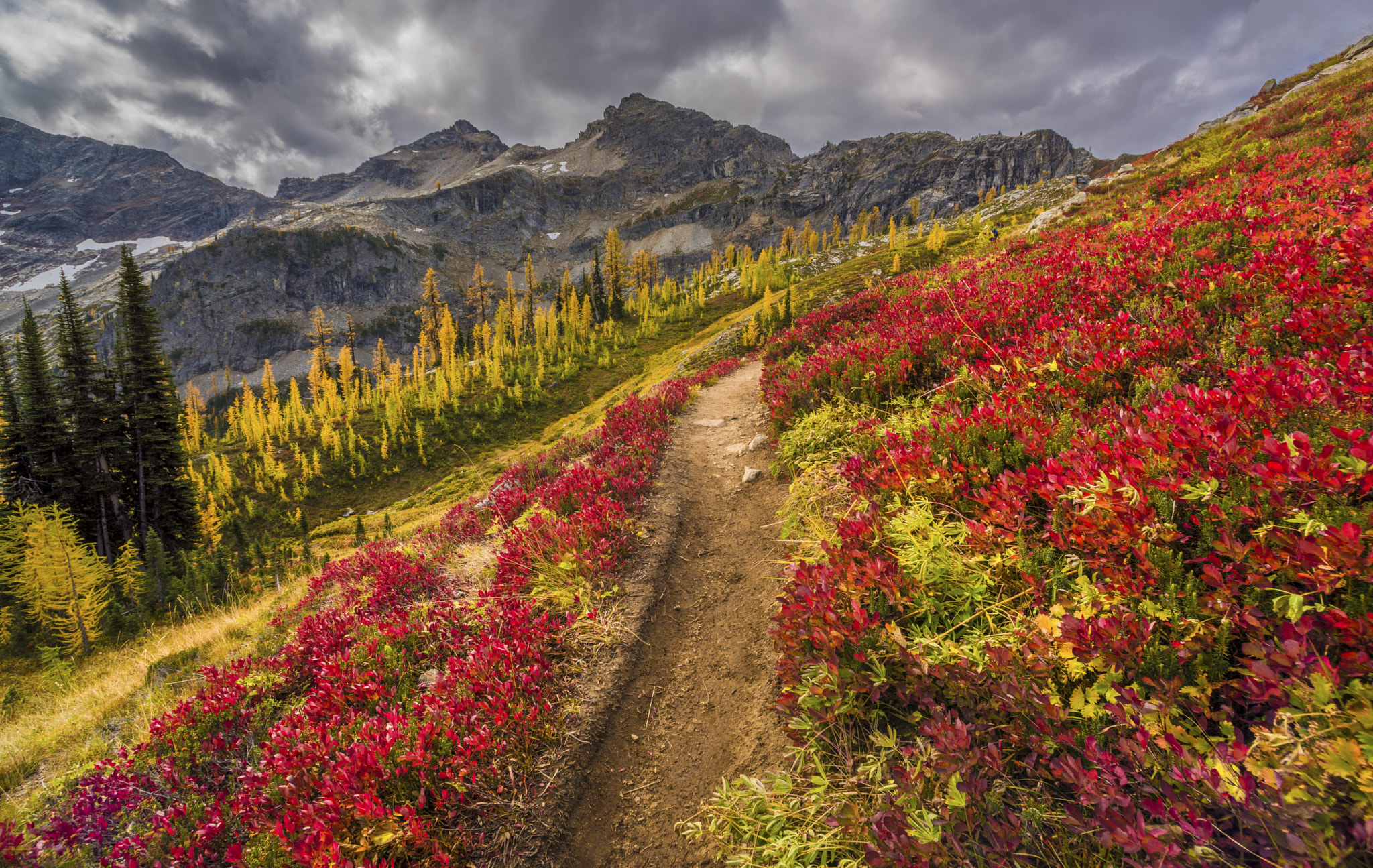 Nikon AF Nikkor 14mm F2.8D ED sample photo. A trail to paradise photography