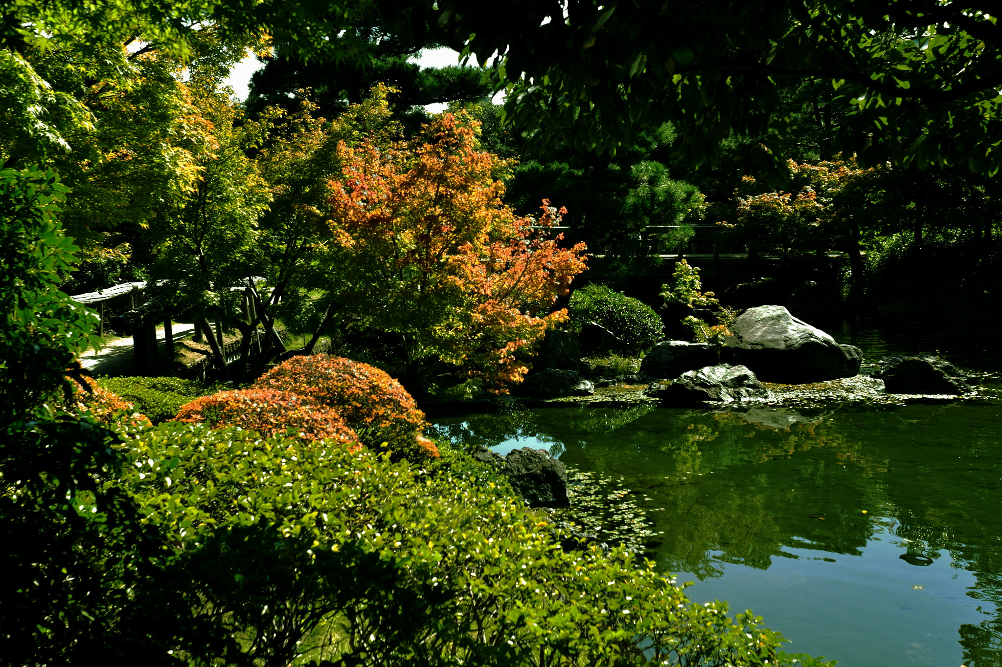 Nikon D7000 + Nikon AF Nikkor 24mm F2.8D sample photo. Japanese garden in autumn. photography