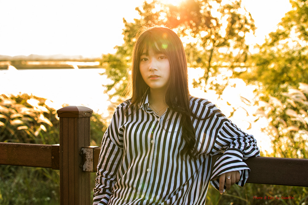Sigma 50-100mm F1.8 DC HSM Art sample photo. 가을의 빛 photography