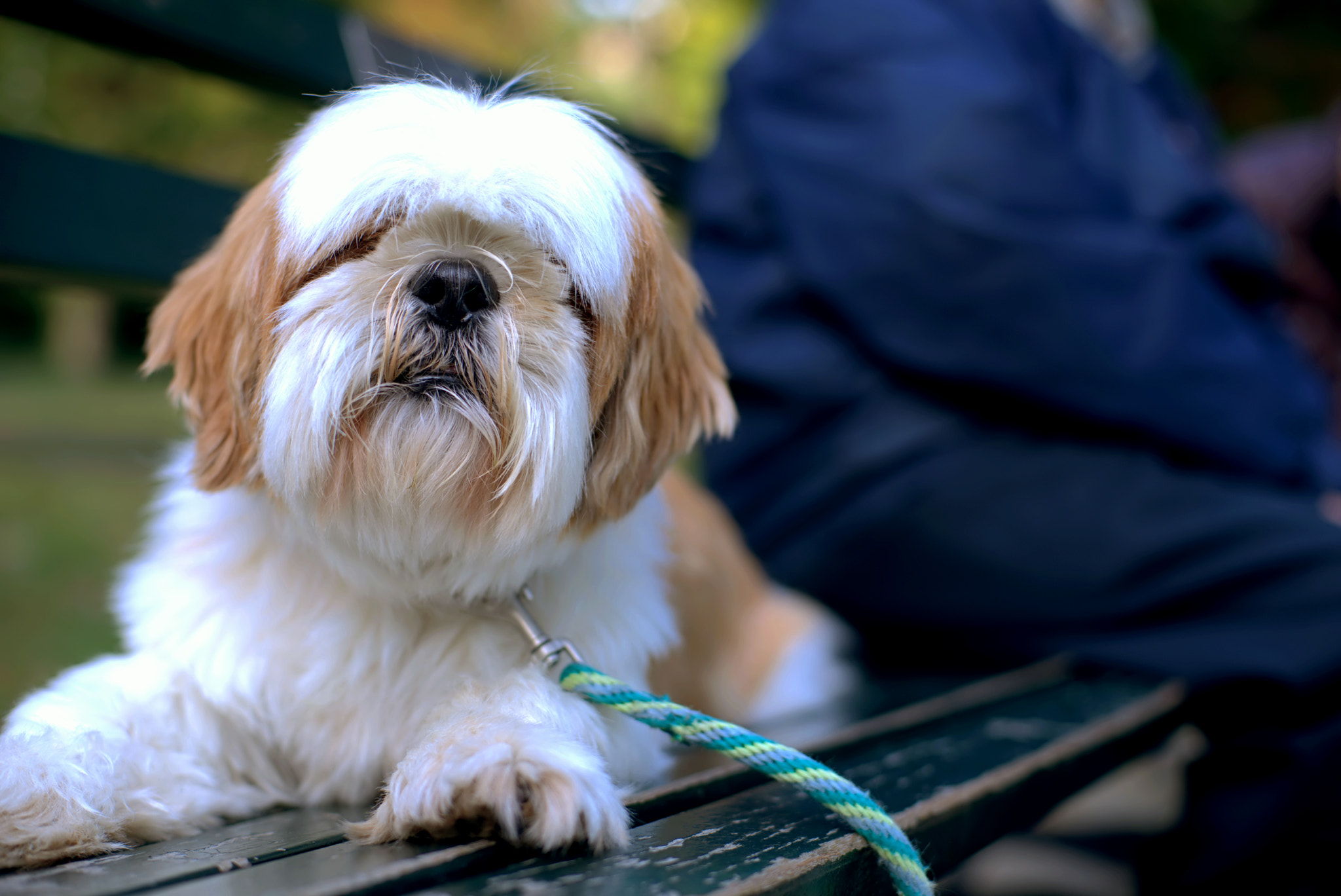 Sony a7 + Sony 50mm F1.4 sample photo. Please smile?? photography