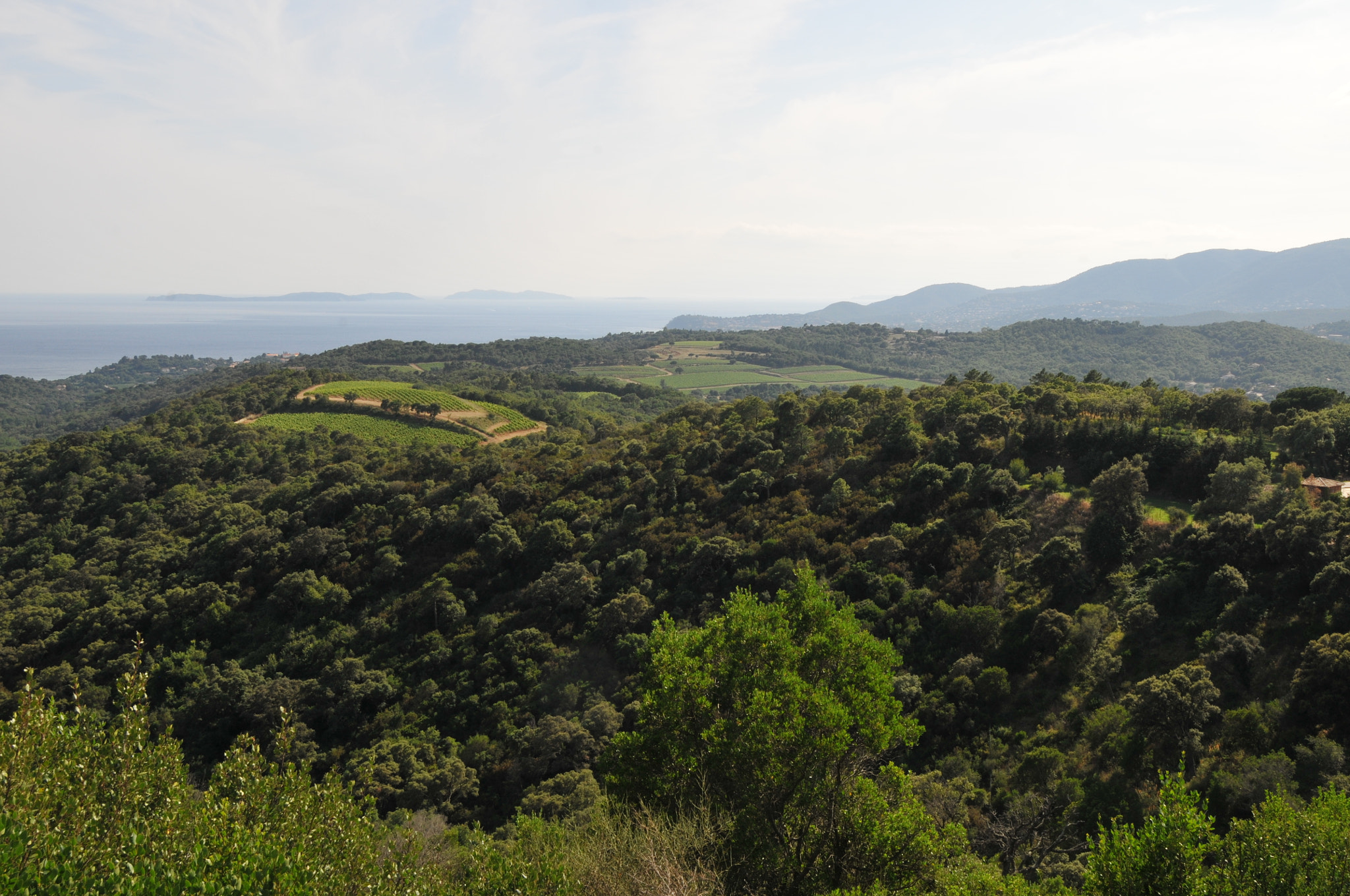 Nikon D300 sample photo. St. tropez, france photography