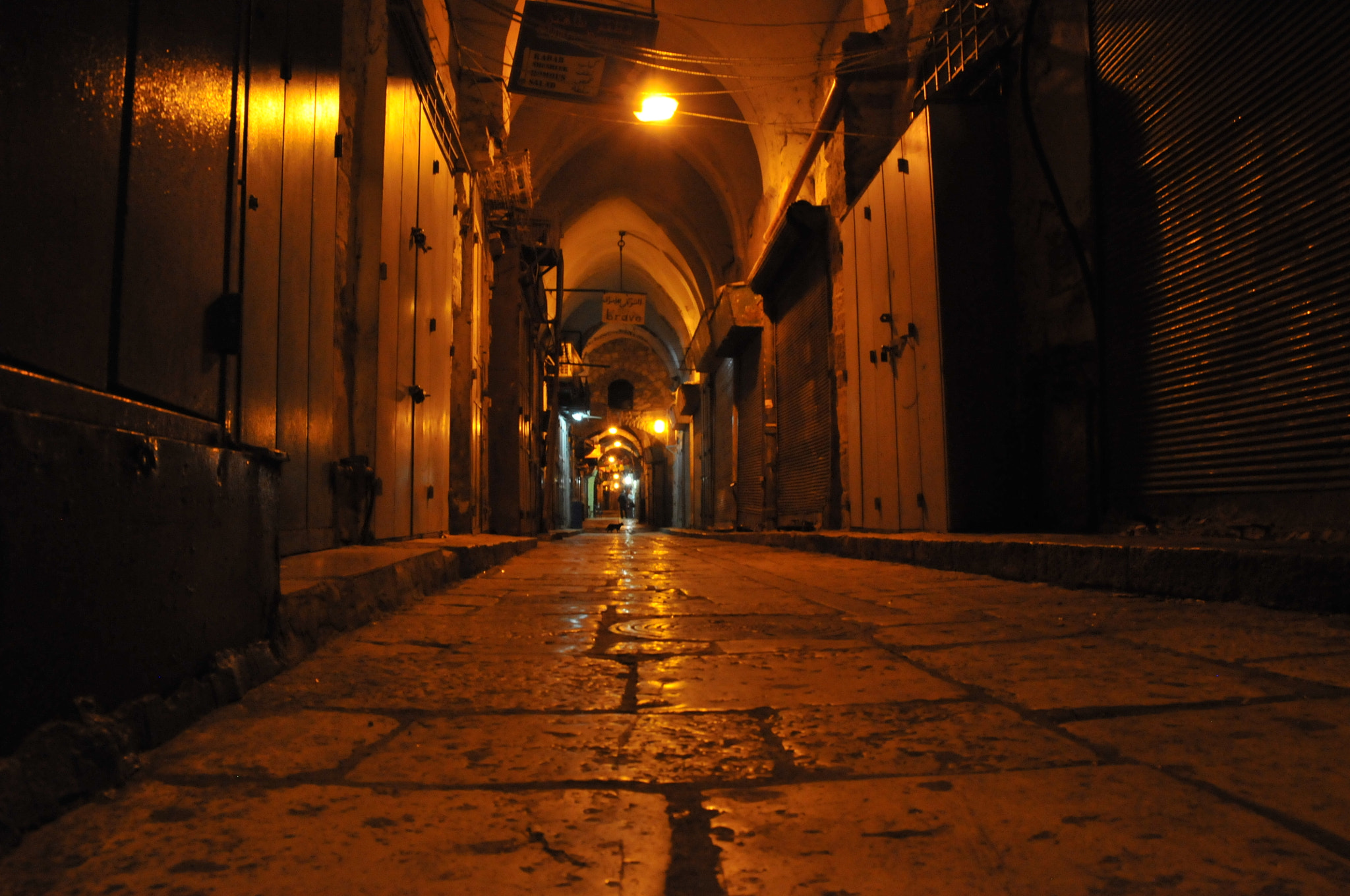 Nikon D300 sample photo. Israel photography