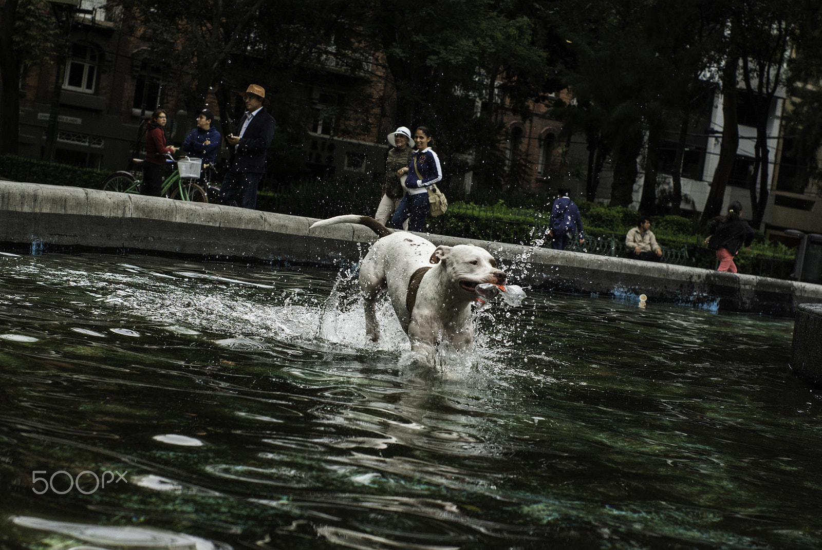 Pentax K10D sample photo. Happiness photography