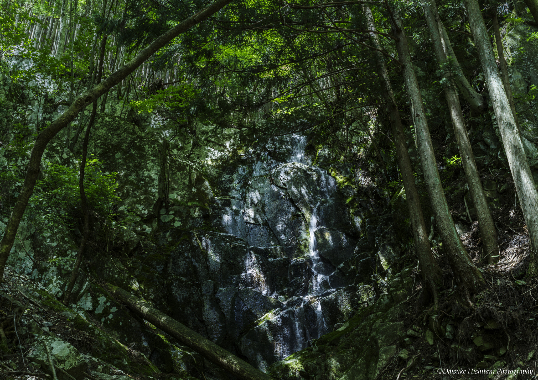 Pentax K-1 + Pentax smc FA 43mm F1.9 Limited sample photo. Stone photography