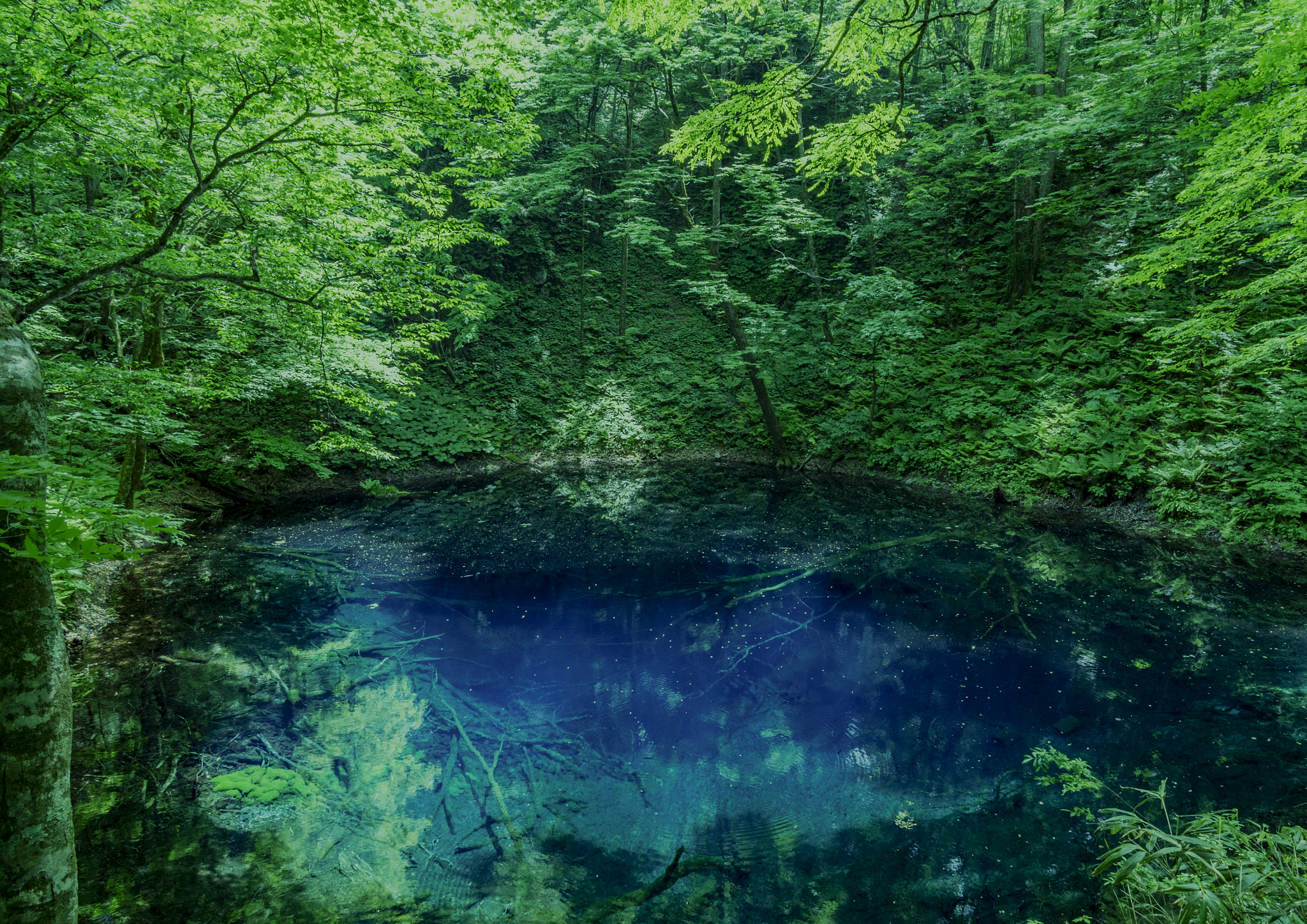 Pentax smc DA 14mm F2.8 ED (IF) sample photo. A small blue lake photography