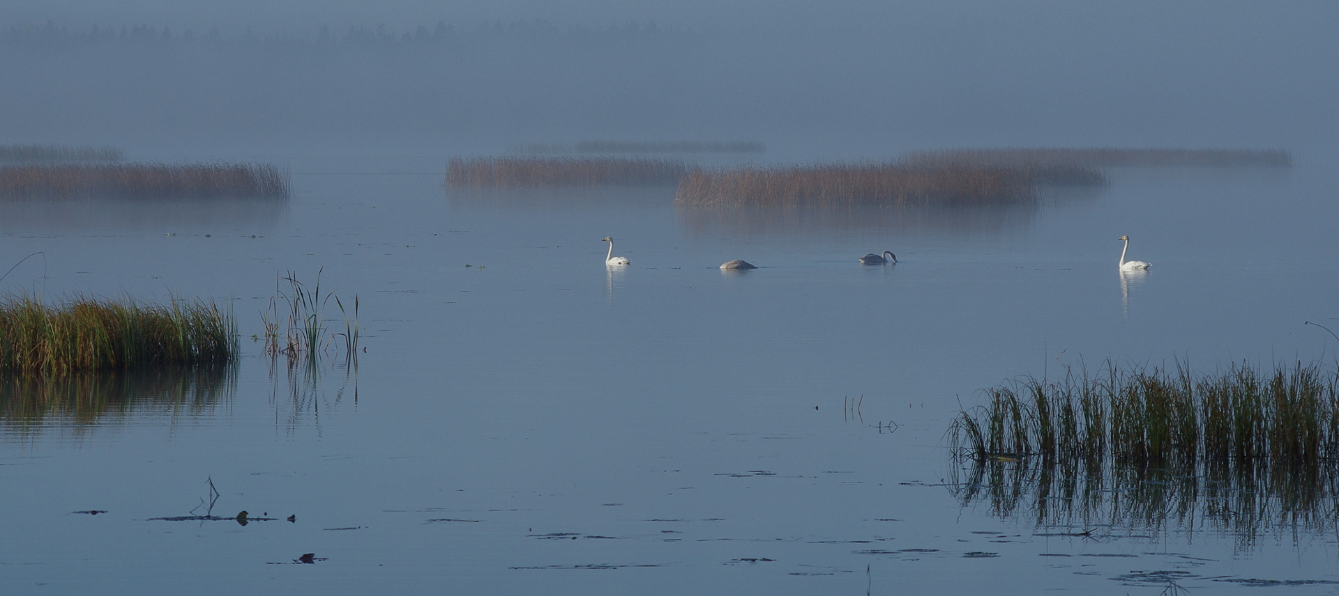 Pentax smc DA 55-300mm F4.0-5.8 ED sample photo. Peaceful morning photography
