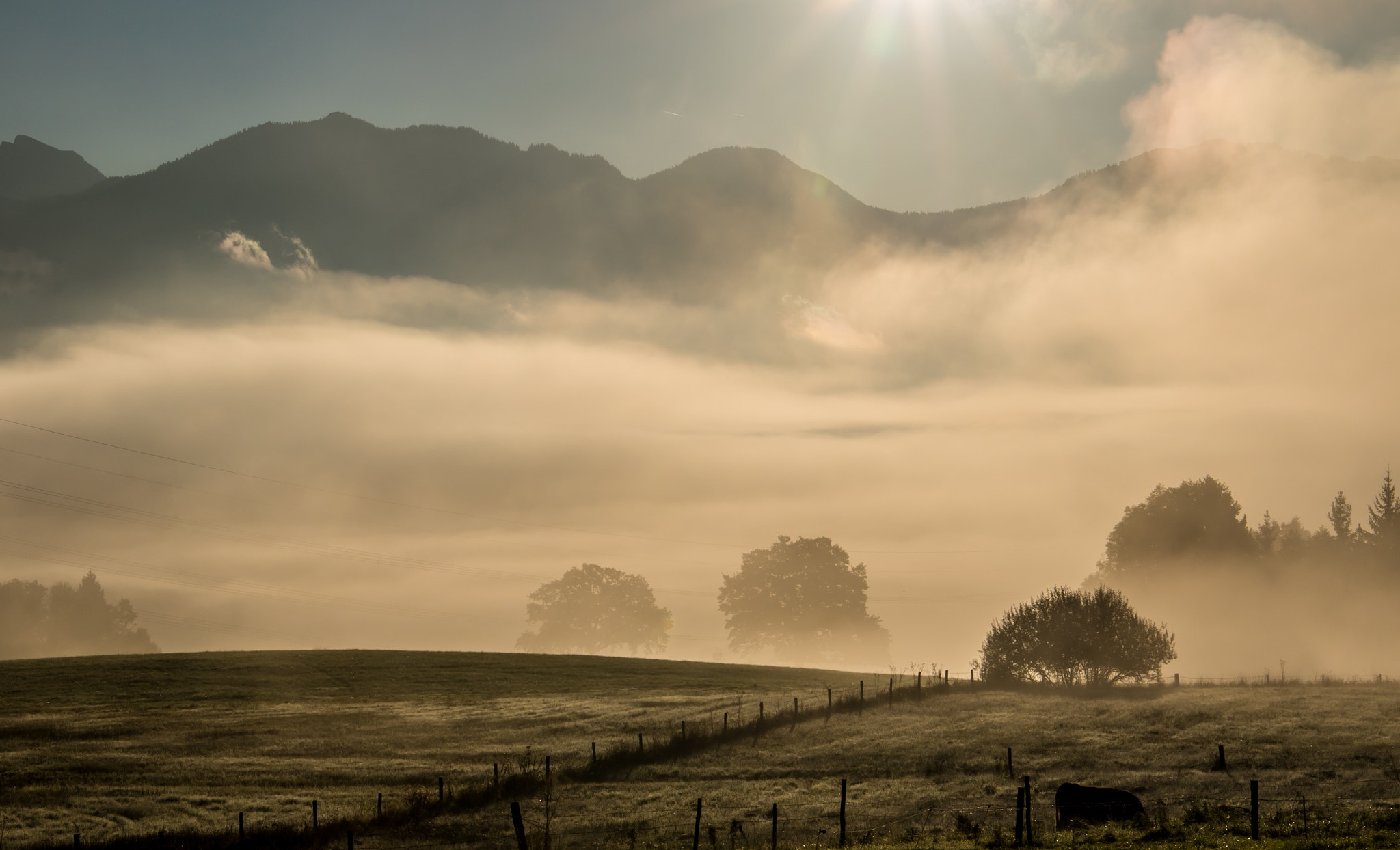 Canon EF 24-105mm F3.5-5.6 IS STM sample photo. Sunrise photography