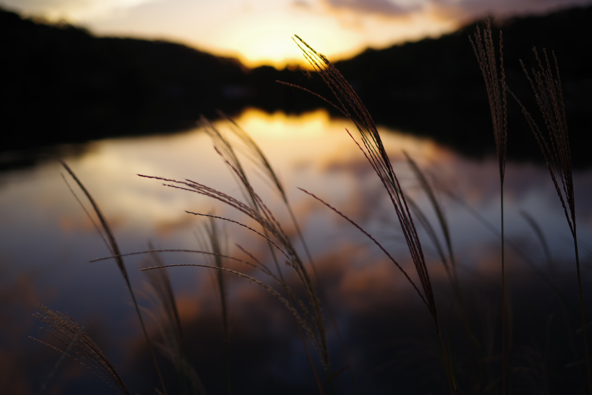 Pentax K-1 sample photo. Autumn sunset photography