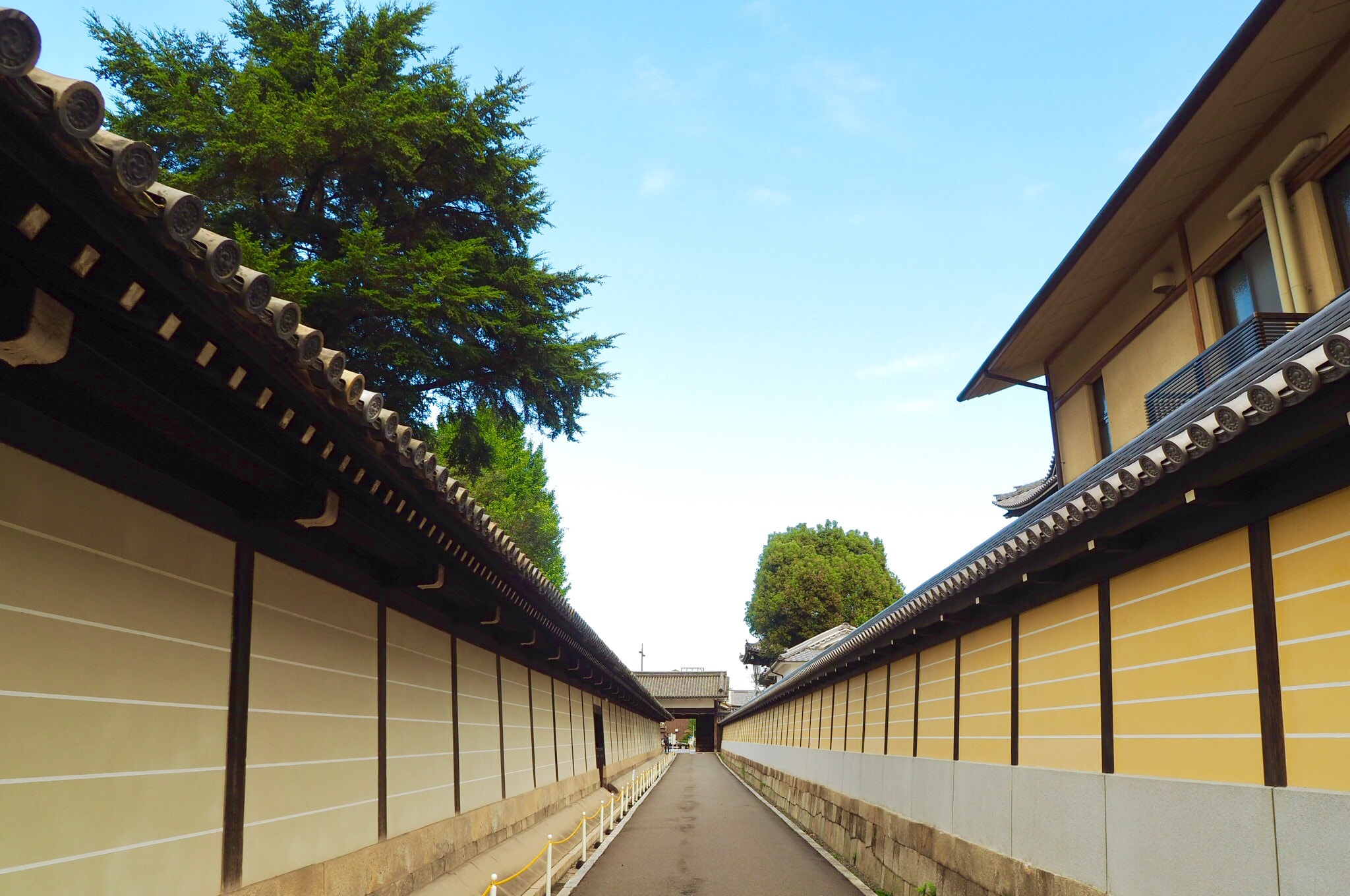 Olympus OM-D E-M10 + OLYMPUS M.12mm F2.0 sample photo. 北小路通り photography