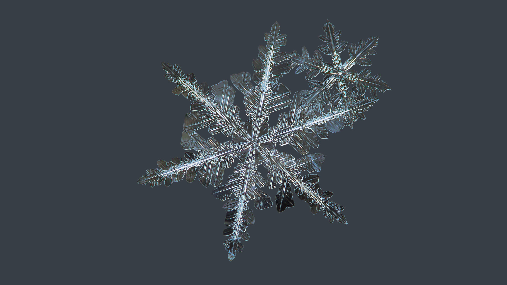 Canon POWERSHOT A650 IS sample photo. Snowflake isolated on uniform gray background photography