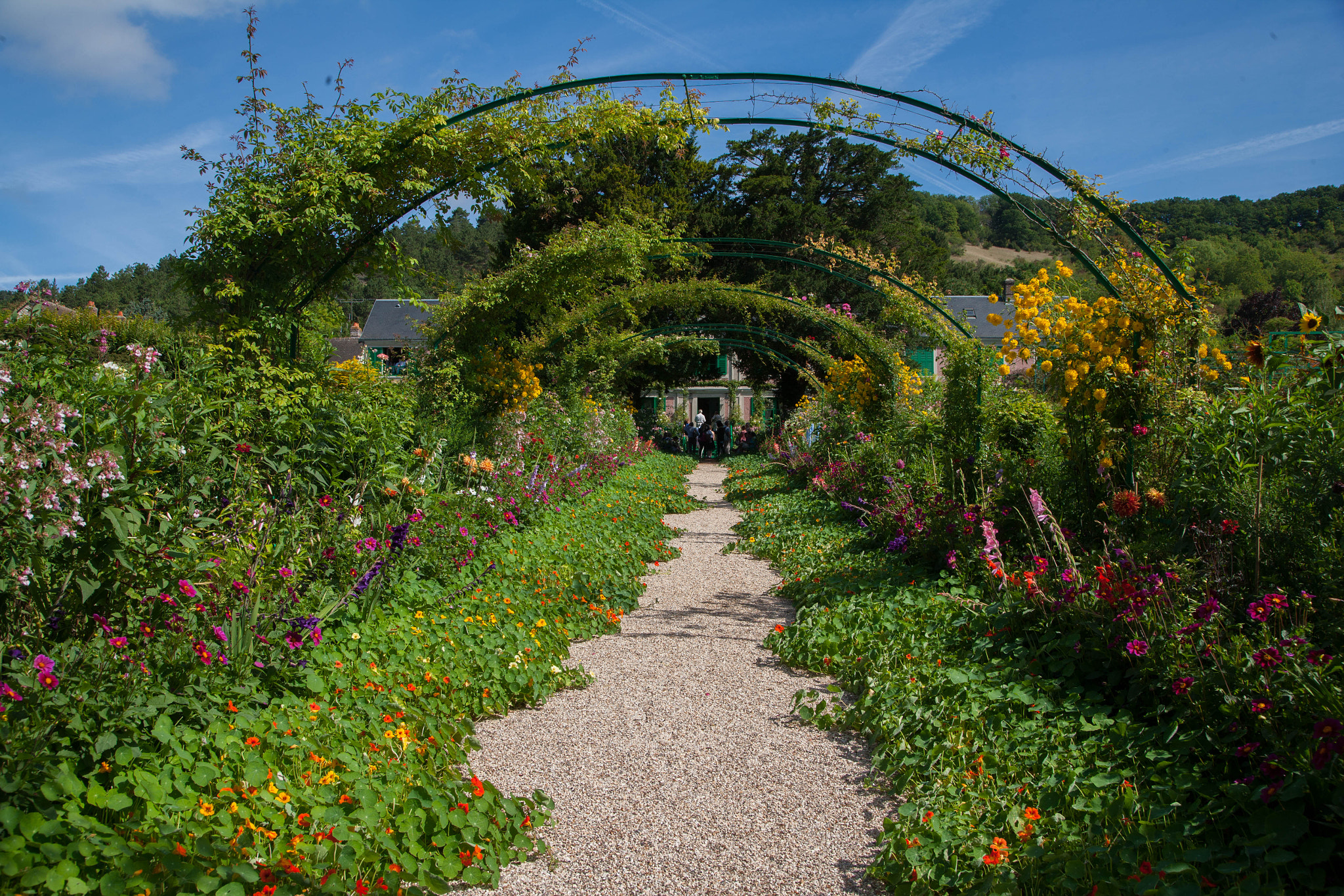 Canon EOS-1Ds Mark II sample photo. Impressionists' garden photography