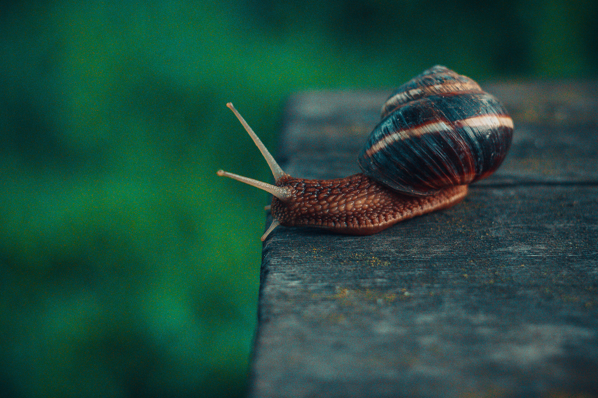 Canon EF 35-80mm f/4-5.6 sample photo