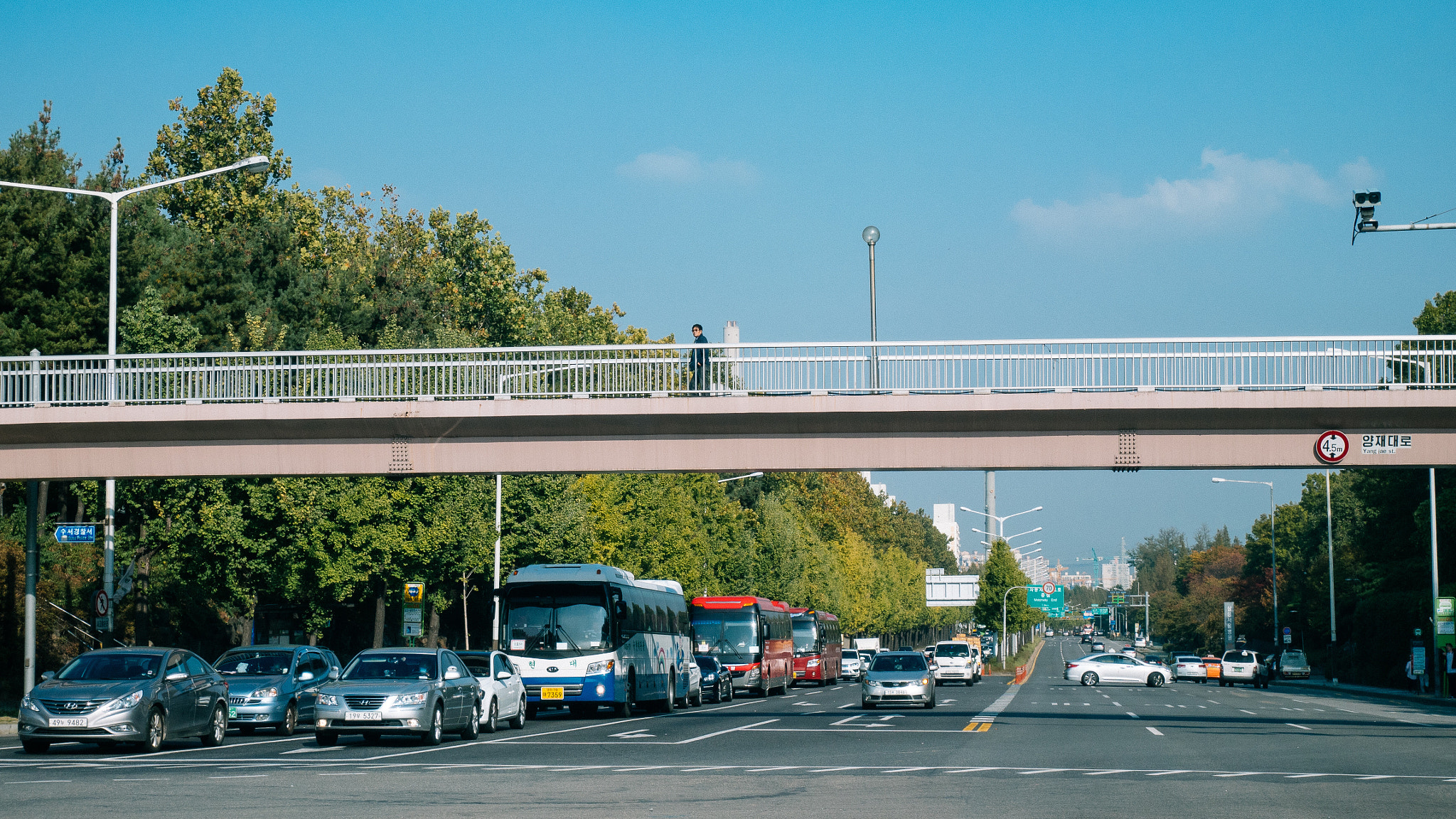 Panasonic Lumix DMC-GX85 (Lumix DMC-GX80 / Lumix DMC-GX7 Mark II) sample photo. 지금 만나러갑니다. photography