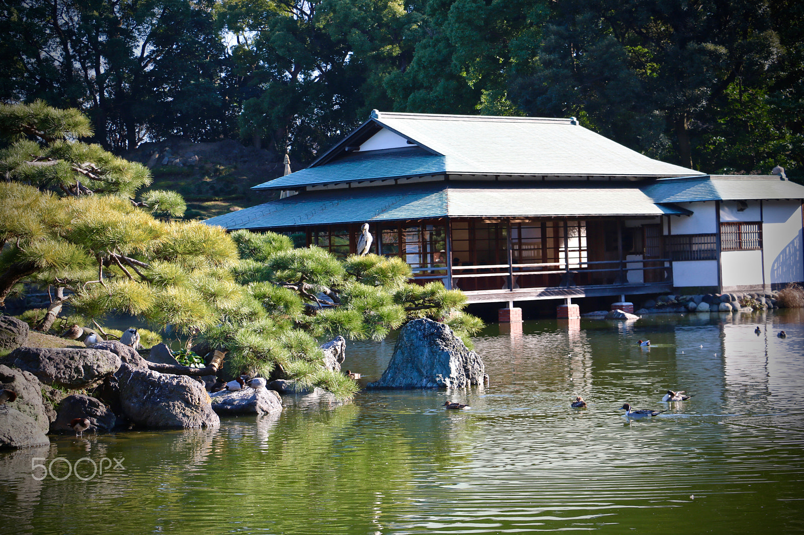 Canon EOS 760D (EOS Rebel T6s / EOS 8000D) sample photo. Japanese house, kyosumi garden, japan photography