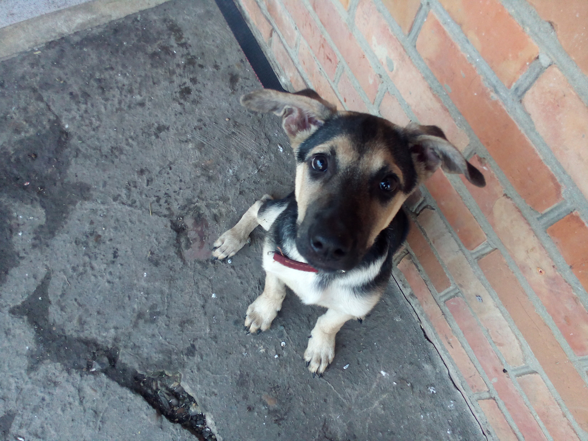 Micromax Canvas Spark sample photo