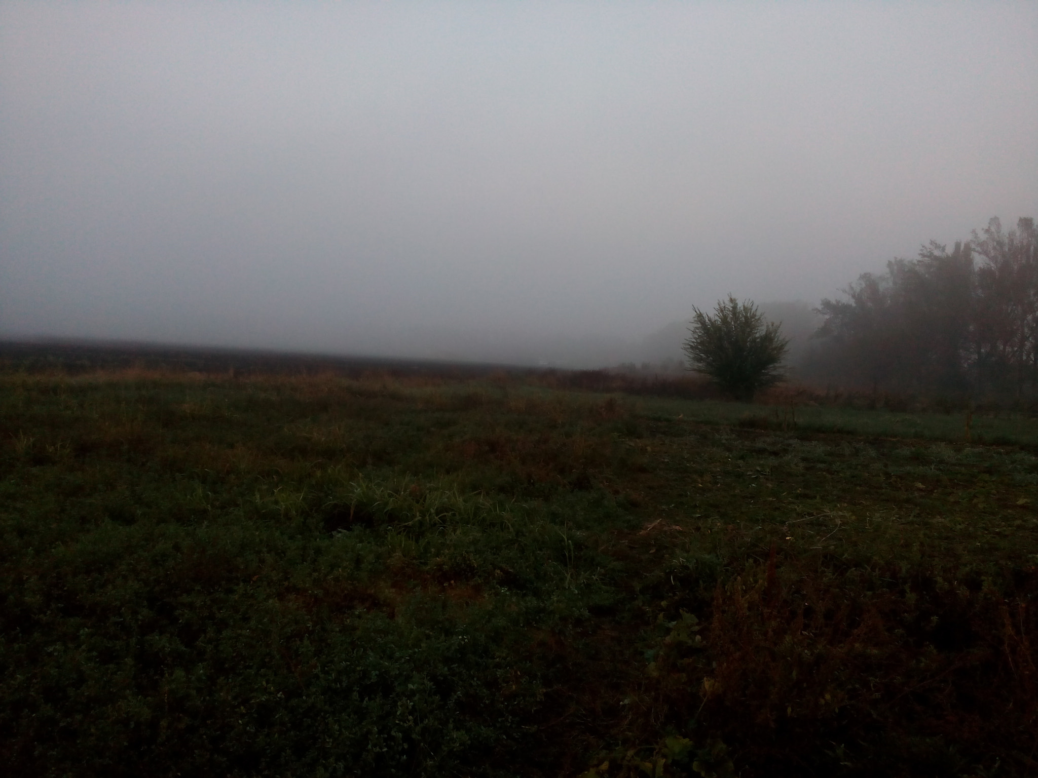 Micromax Canvas Spark sample photo