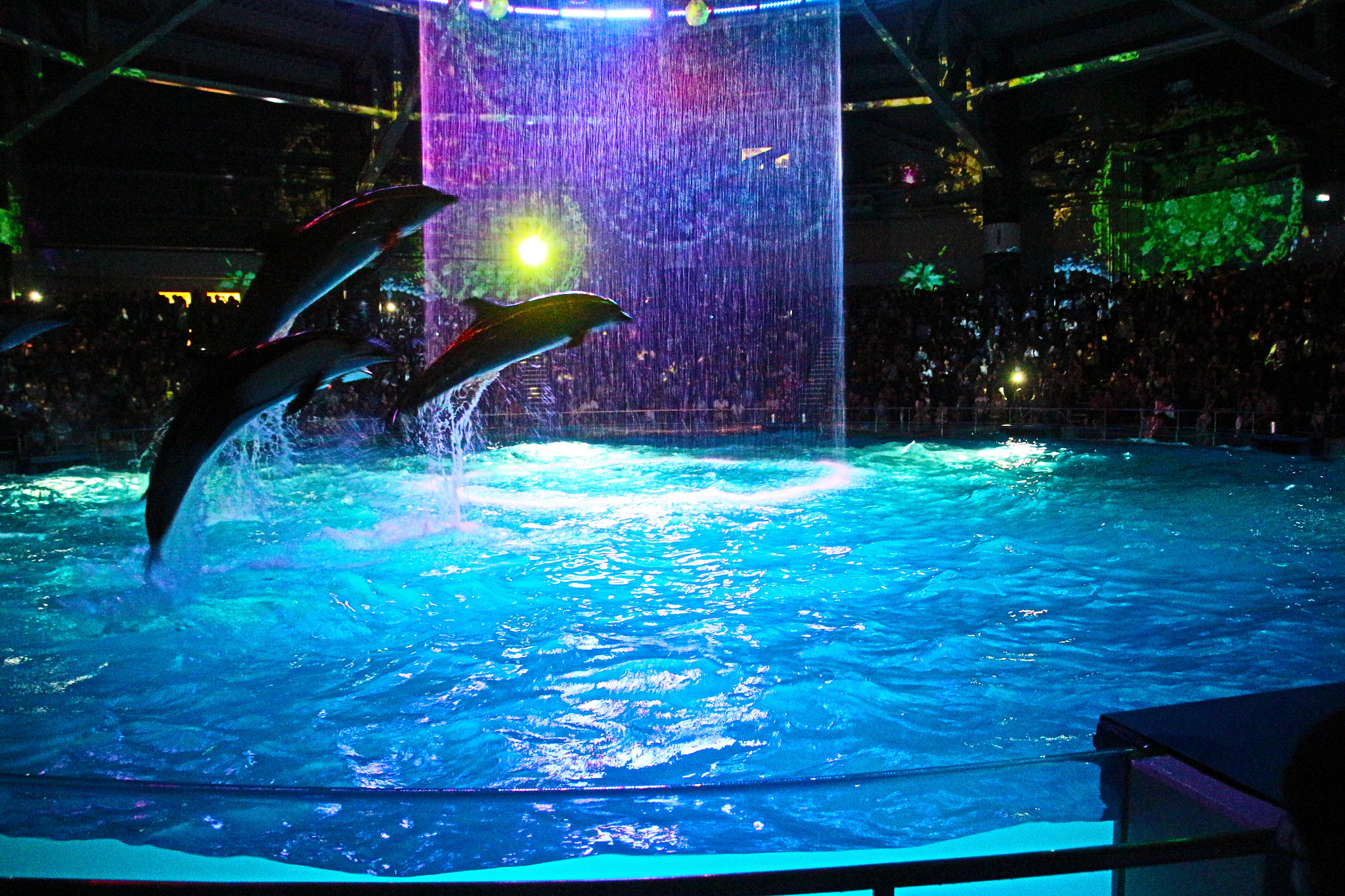 Canon EOS 650D (EOS Rebel T4i / EOS Kiss X6i) sample photo. Aquarium in shinagawa photography