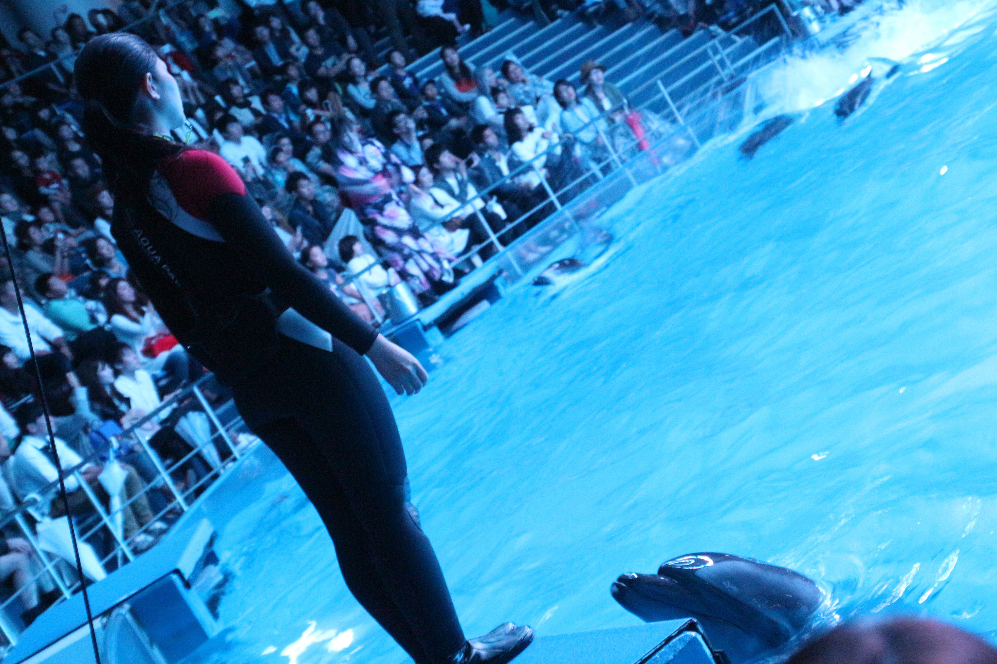 Canon EOS 650D (EOS Rebel T4i / EOS Kiss X6i) sample photo. Aquarium in shinagawa photography