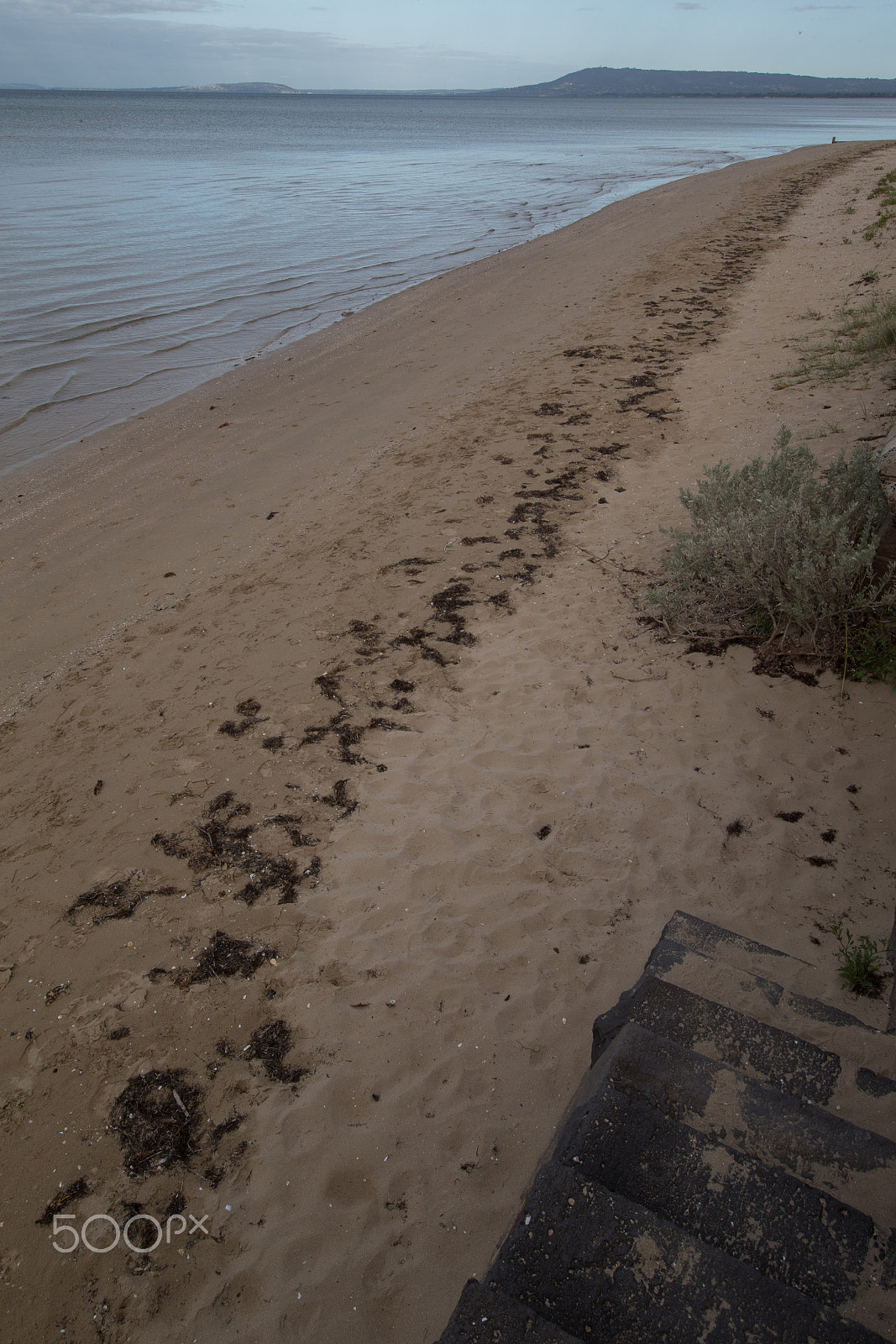 Canon EF 11-24mm F4L USM sample photo. Path along the beach photography