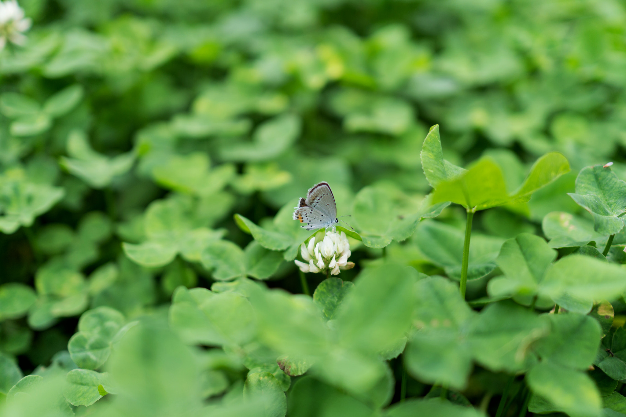 Sony a6300 + Sony Sonnar T* E 24mm F1.8 ZA sample photo