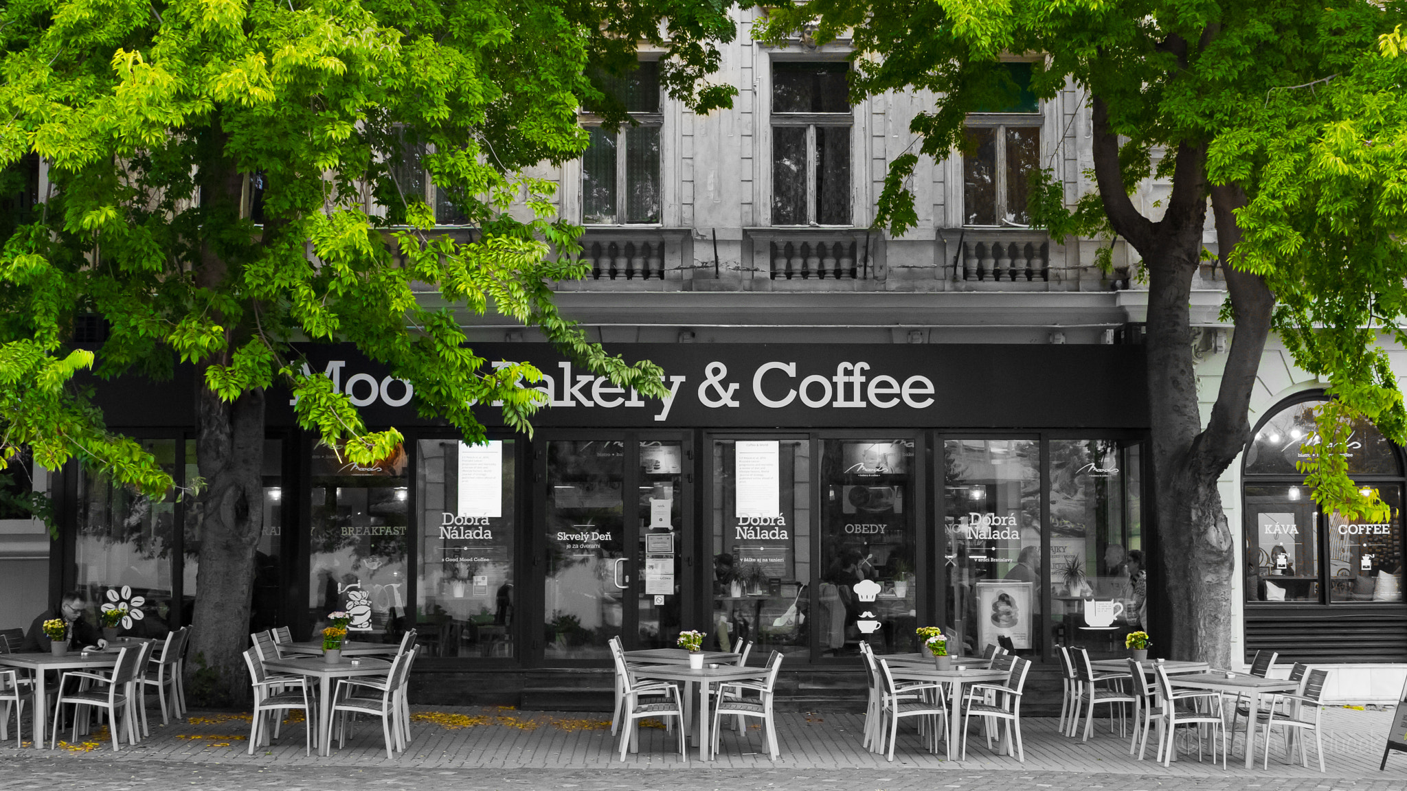 Panasonic Lumix G X Vario 12-35mm F2.8 ASPH Power OIS sample photo. Autumn coffee photography