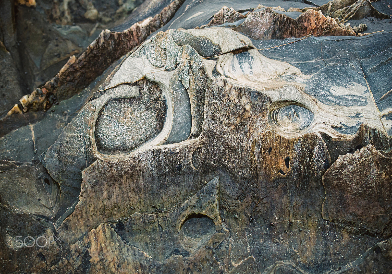 Nikon D610 sample photo. Texture on the rocks macro detail photography