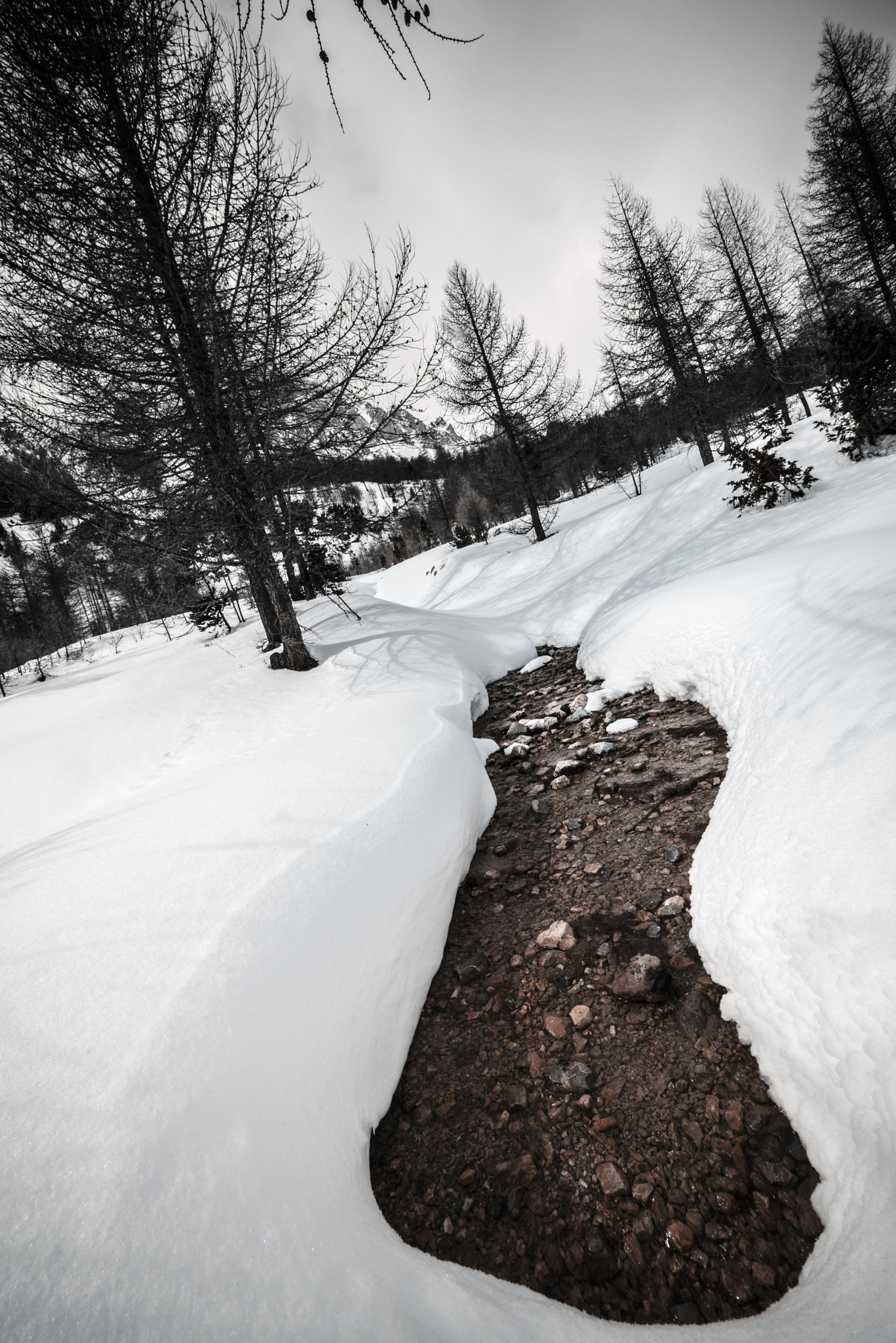 Nikon D610 + Sigma 12-24mm F4.5-5.6 II DG HSM sample photo. _footprints in the snow_ photography
