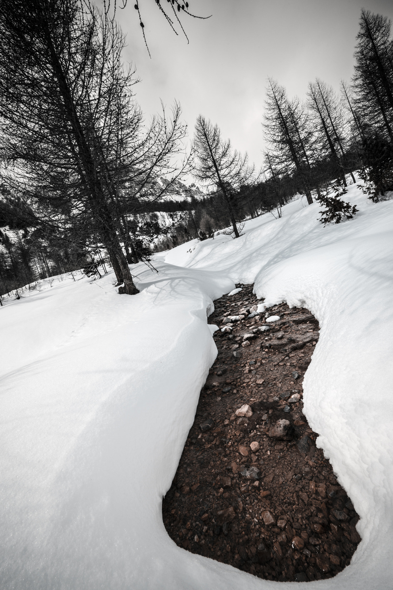 Sigma 12-24mm F4.5-5.6 II DG HSM sample photo. _footprints in the snow_ photography