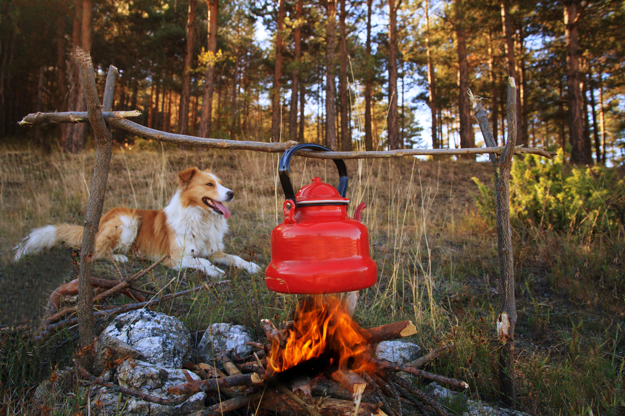 Sigma 24-60mm f/2.8 EX DG sample photo. Camping with friend photography